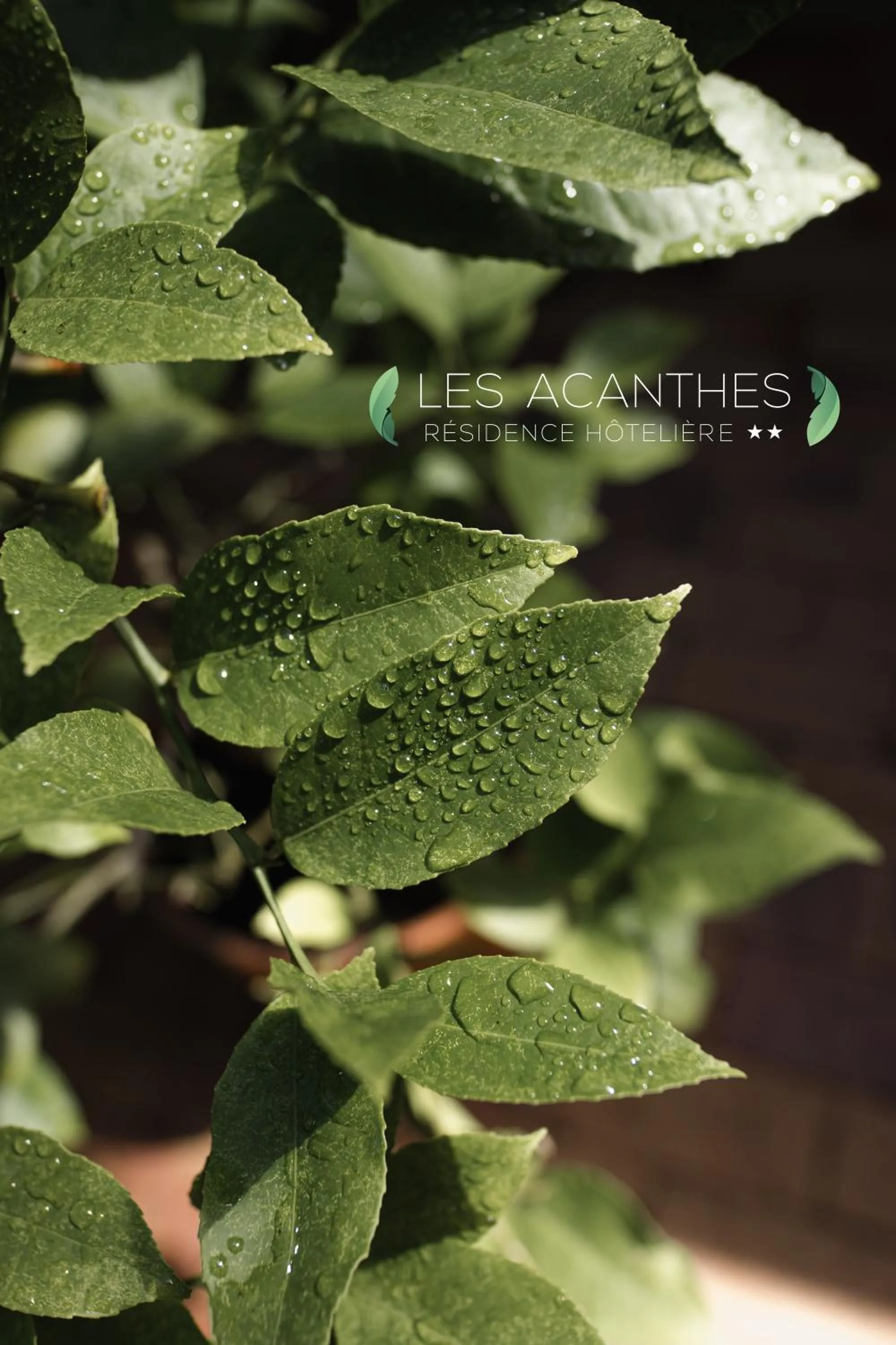 Garden in Résidence Hôtelière les Acanthes