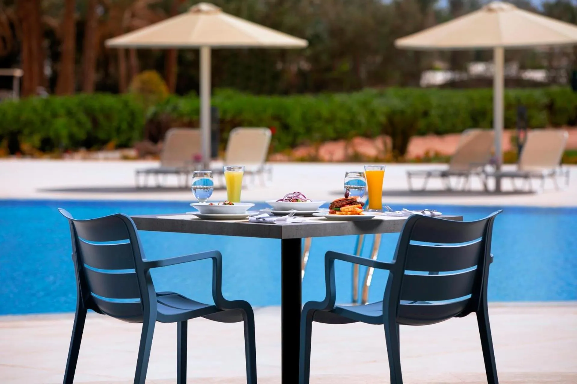 Balcony/Terrace in Pickalbatros Laguna Vista Aqua Park - 24 HRS All Inclusive