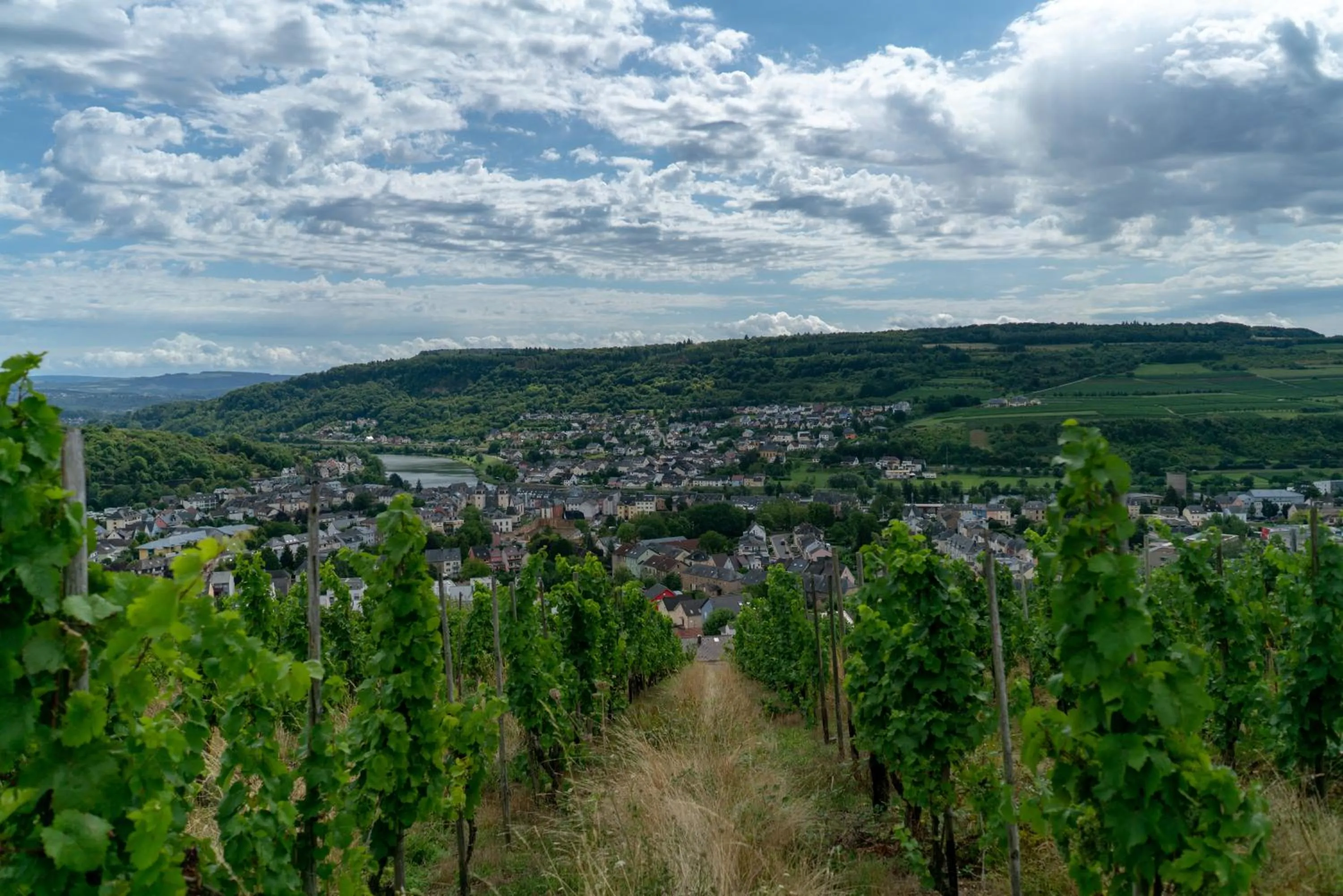 City view in Mühlengarten by Relax Inn - Self Check In & Free Parking