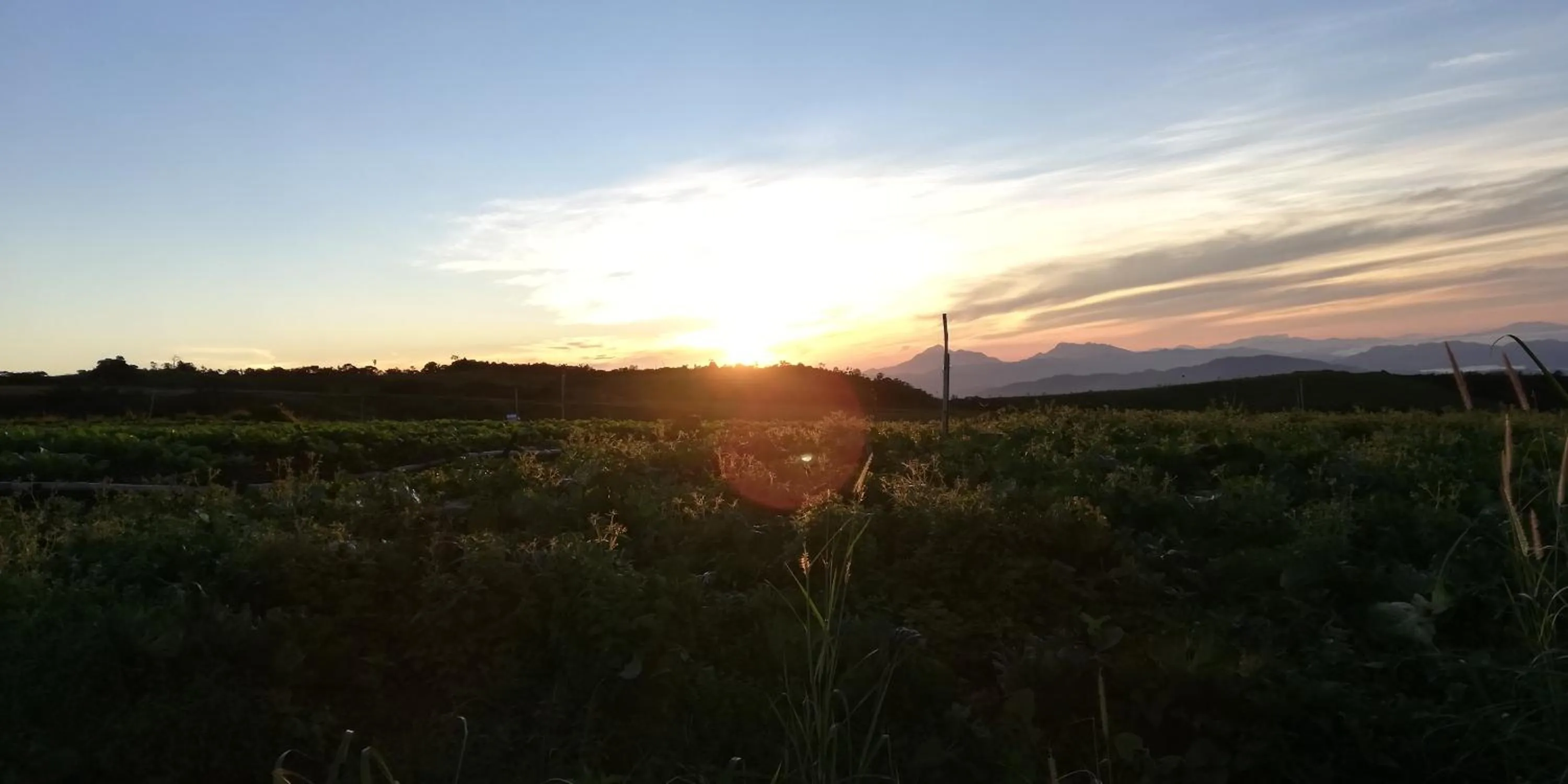 Natural landscape in Wind Valley Farmstay