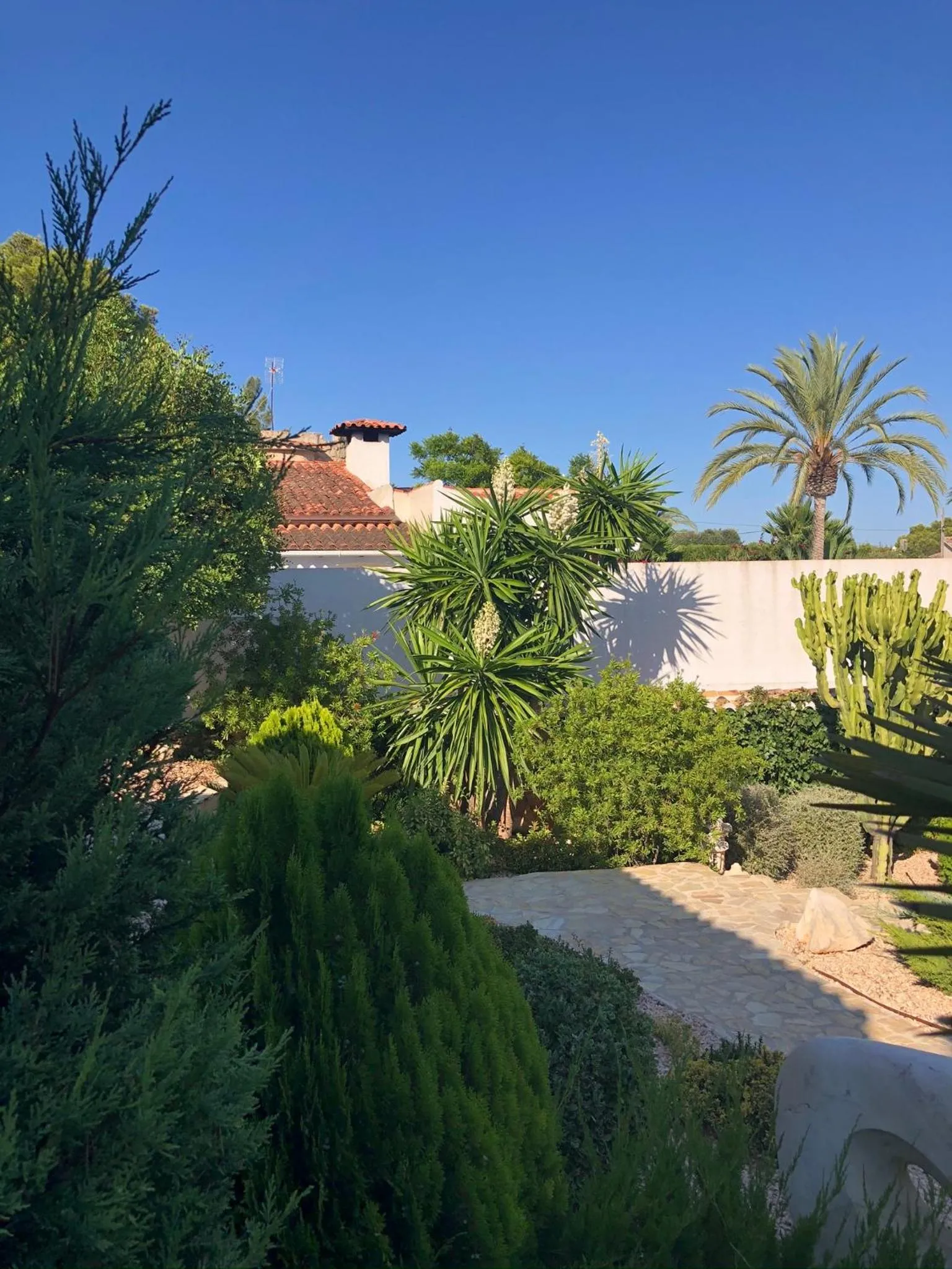 Garden in Apartamento Villa Joya
