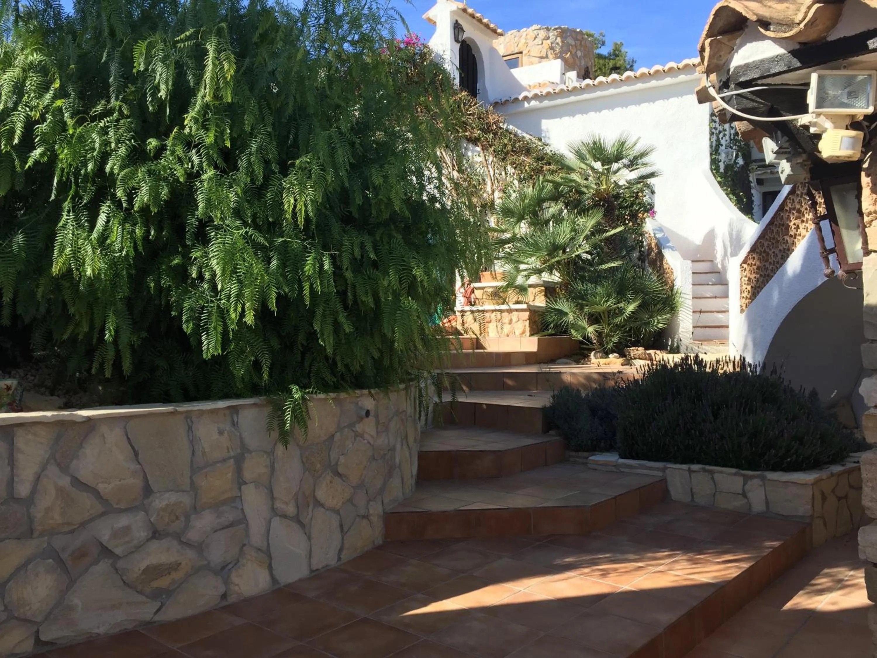 Garden in Apartamento Villa Joya