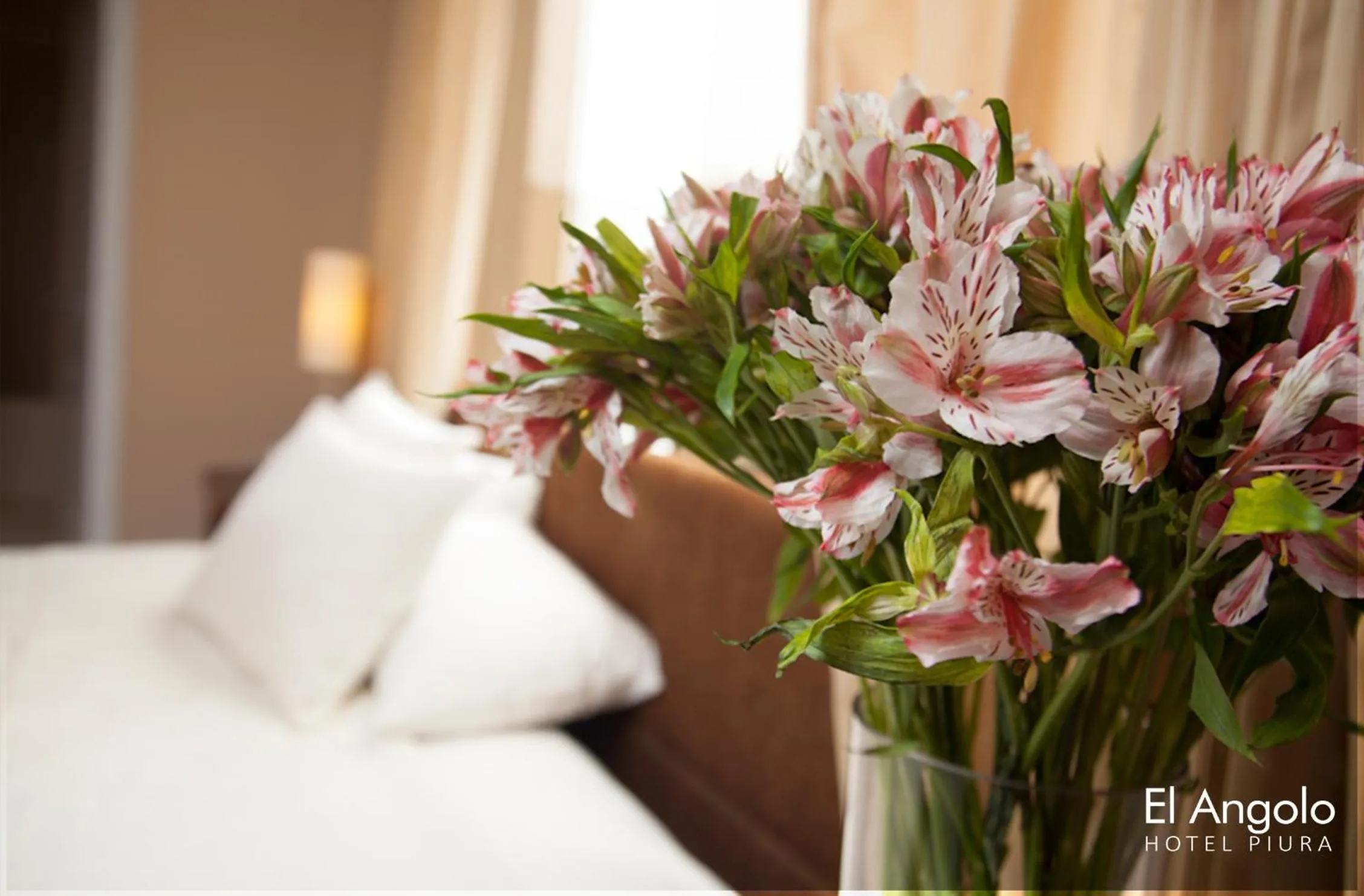 Bed in El Angolo Piura