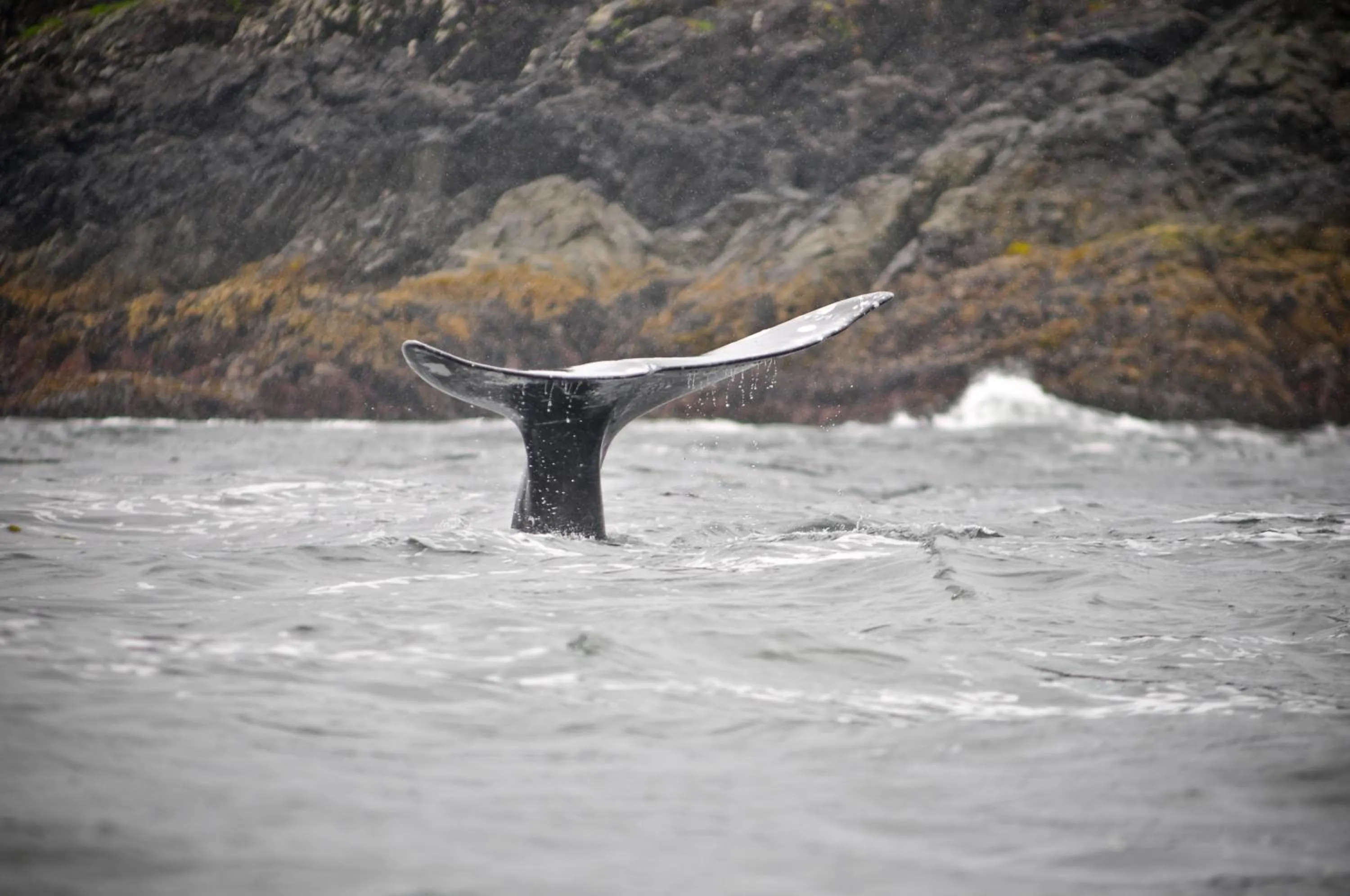 Other in Canadian Princess Lodge & Marina