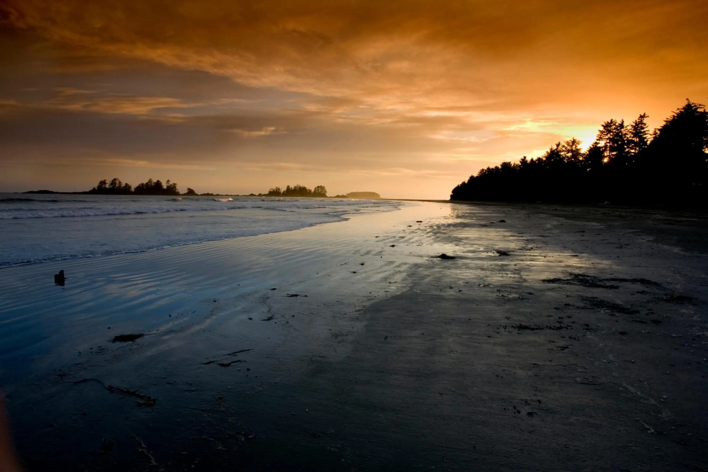 Beach in Canadian Princess Lodge & Marina