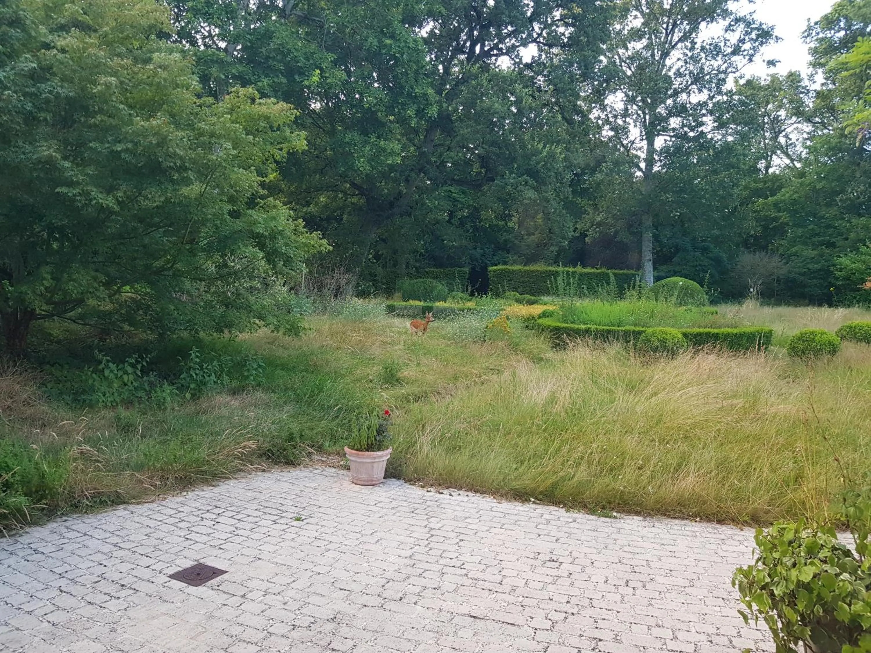 Natural landscape in La Taille de Biou