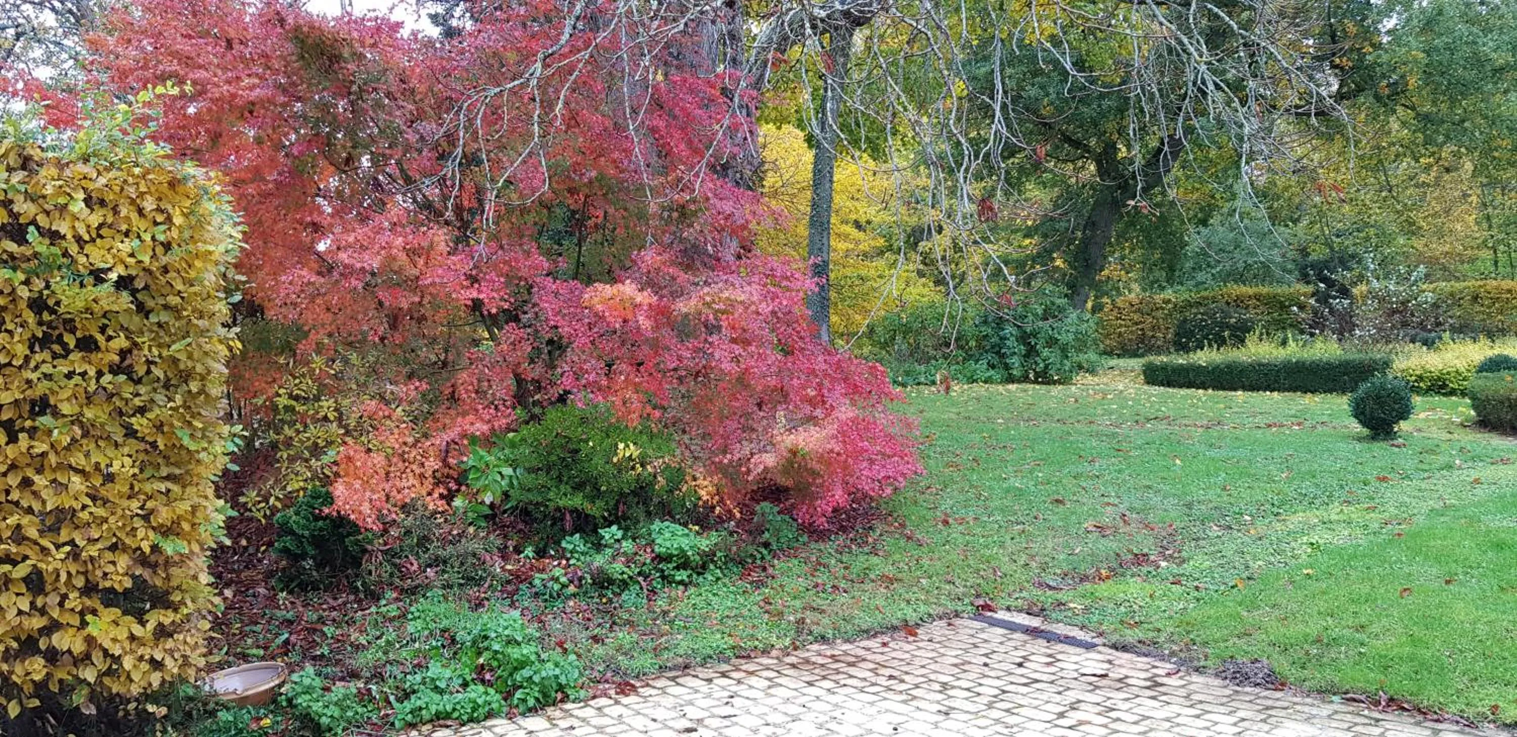 Garden in La Taille de Biou
