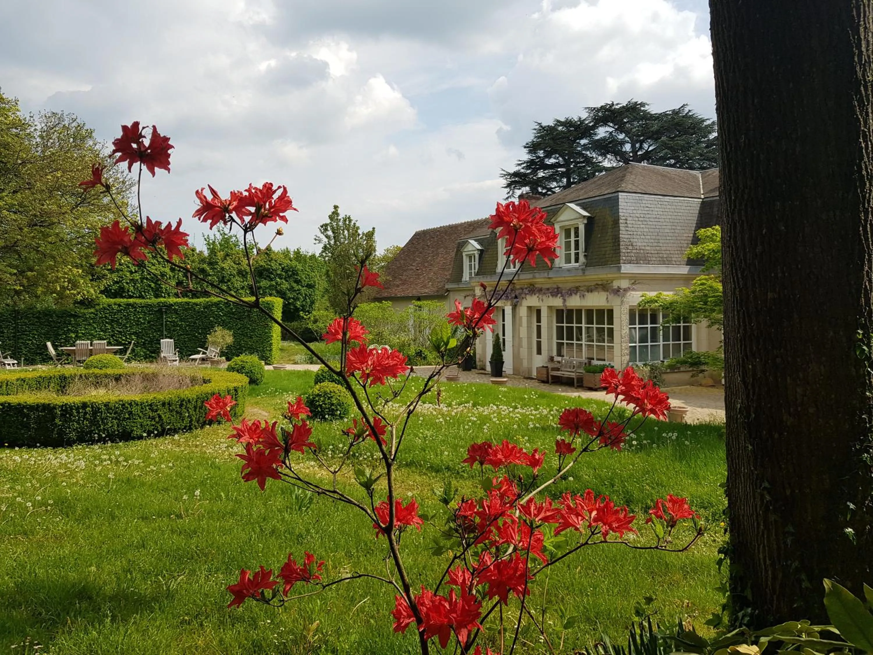 Spring in La Taille de Biou