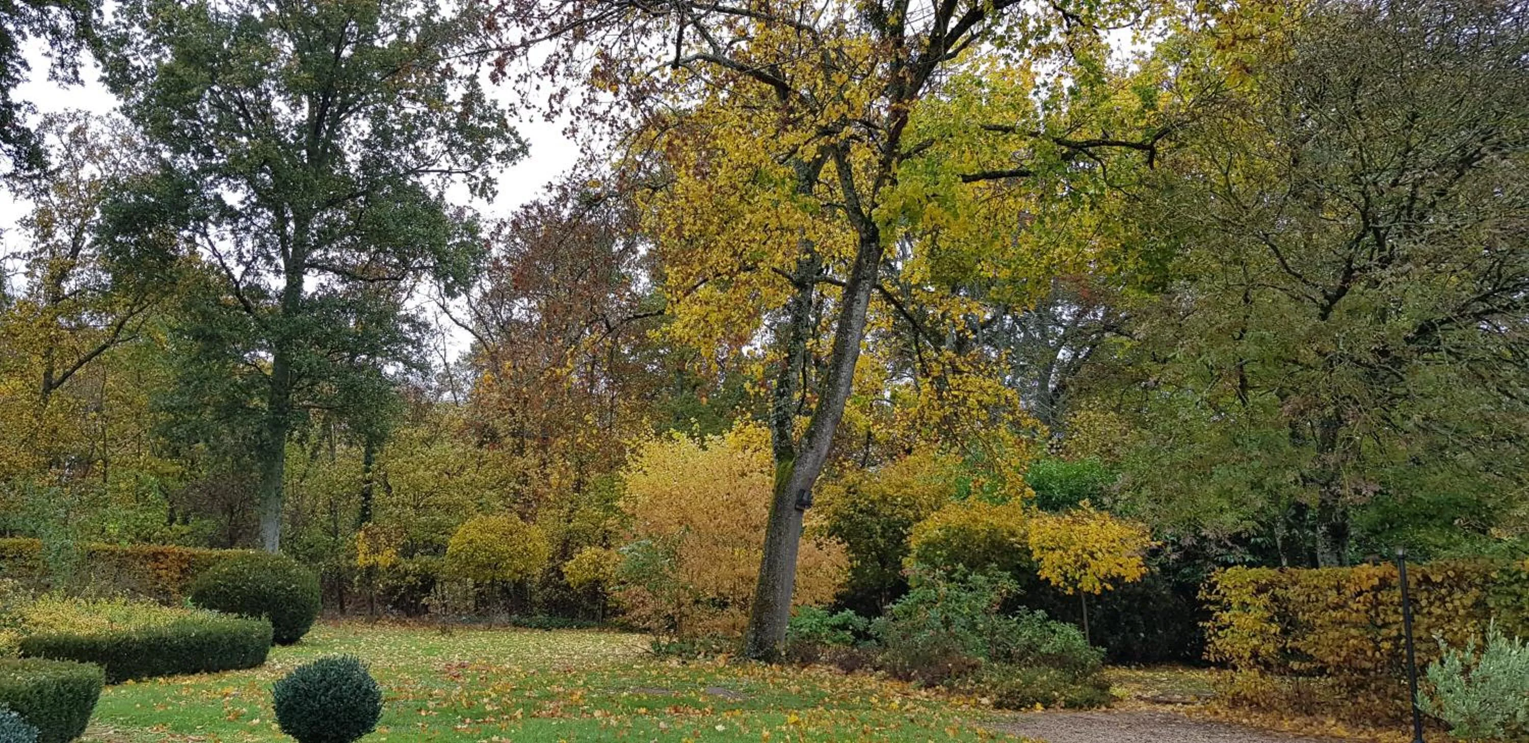 Garden in La Taille de Biou