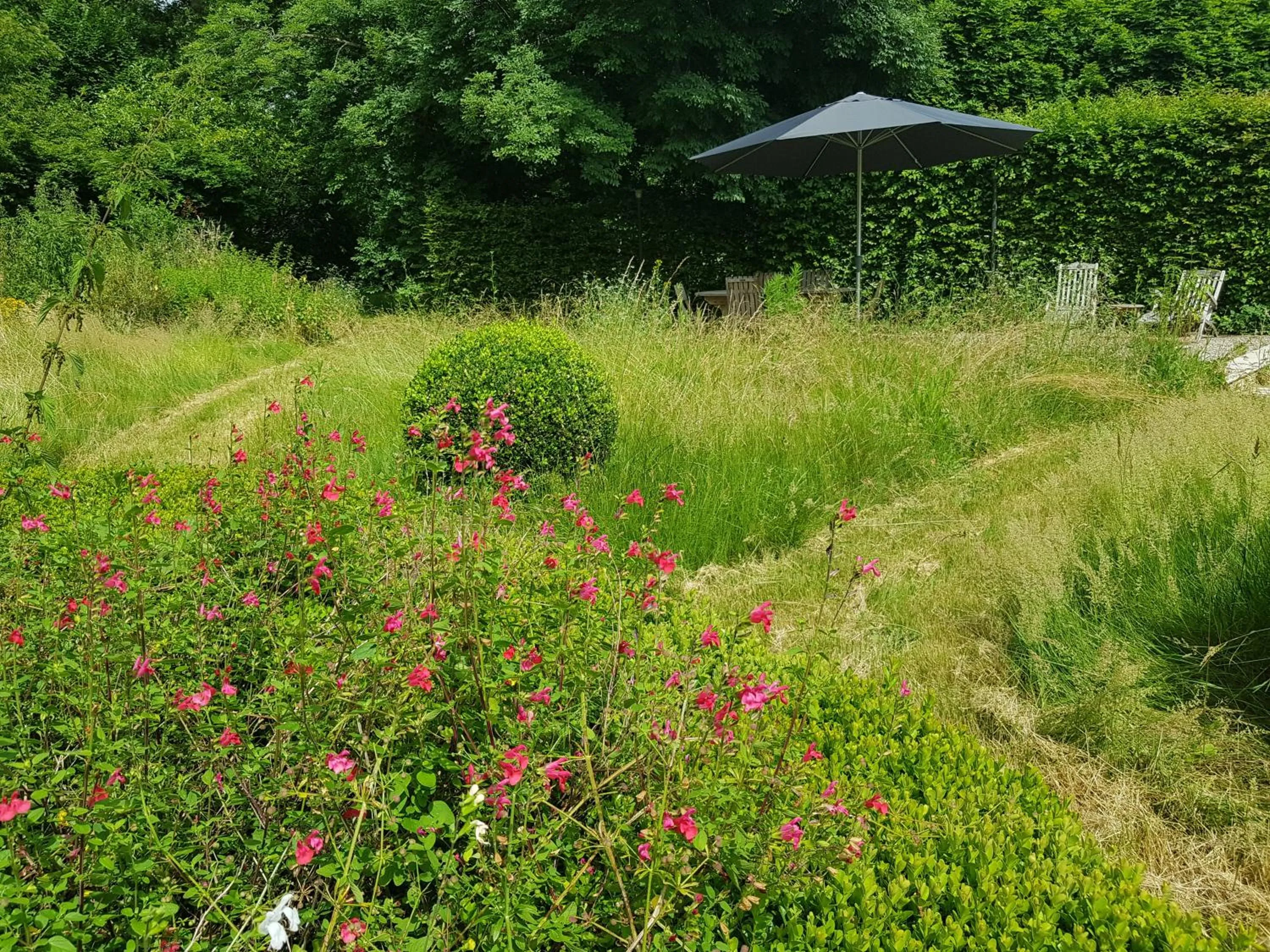 Natural landscape in La Taille de Biou