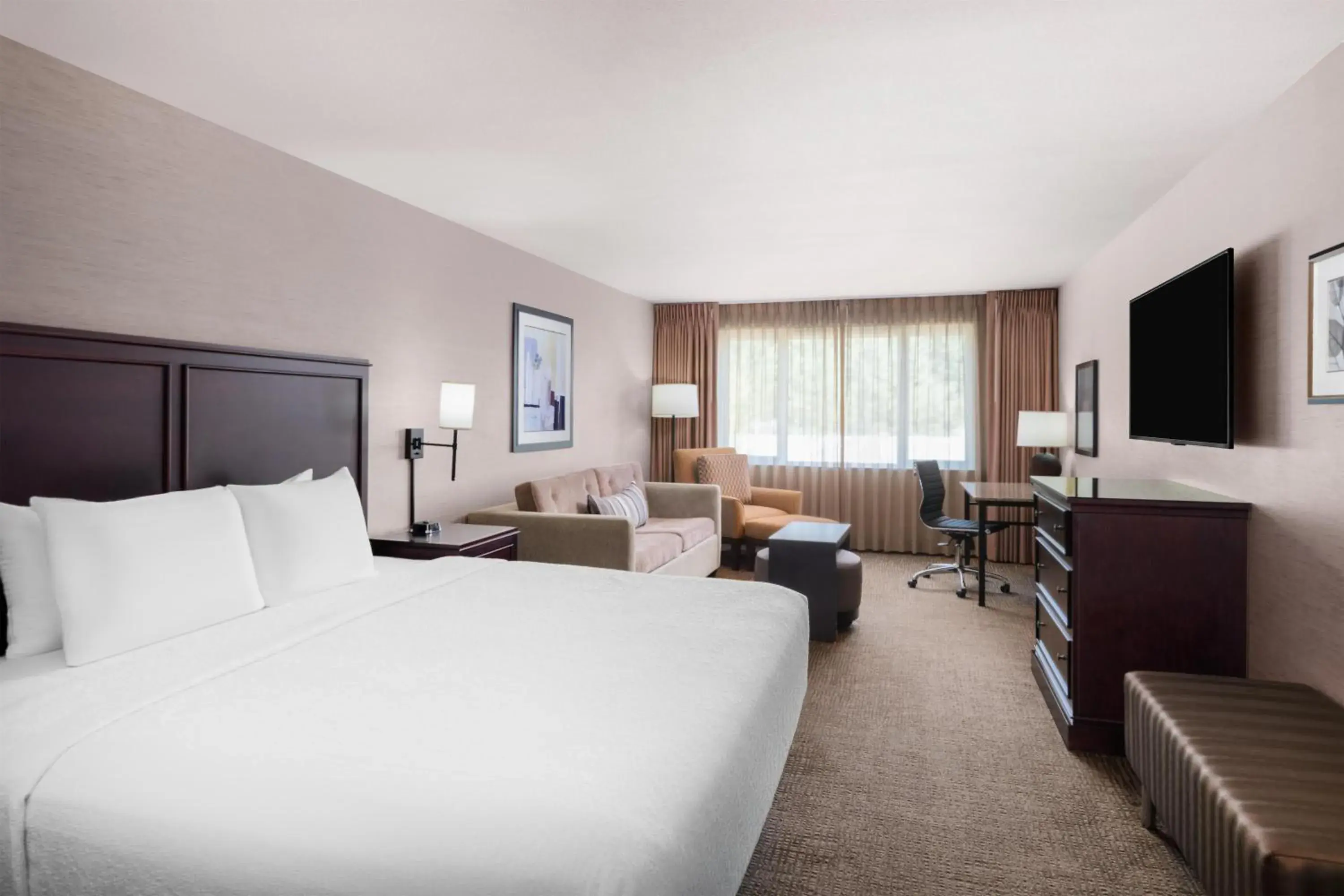 King Room with Sofa Bed - Non-Smoking in Eastgate Hotel - BW Signature Collection King Room with Sofa Bed - Non-Smoking in Eastgate Hotel - BW Signature Collection