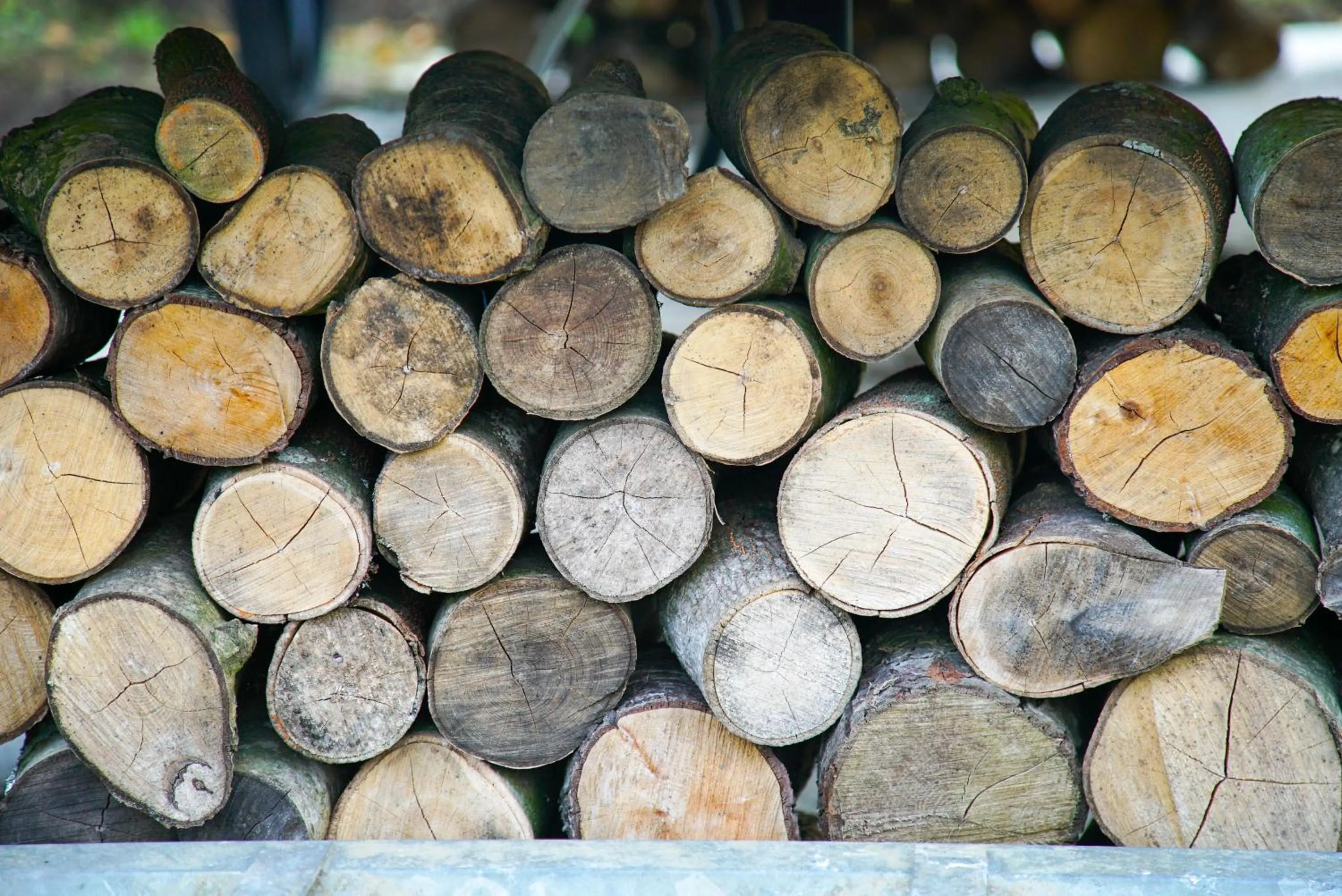Property building in Storws Y Gorlan Shepherd's Hut