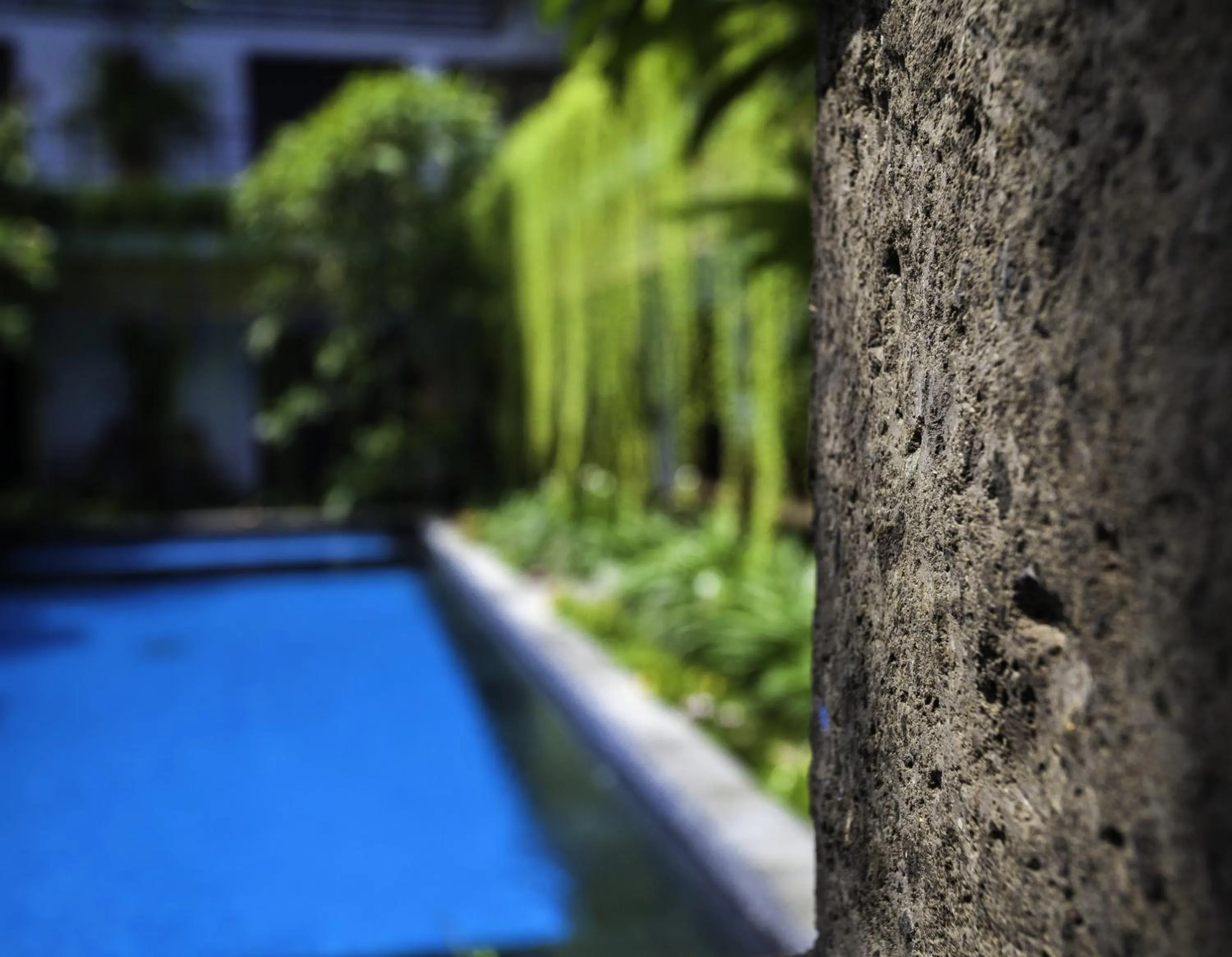 Decorative detail in Kamar Kamar Boutique Hotel