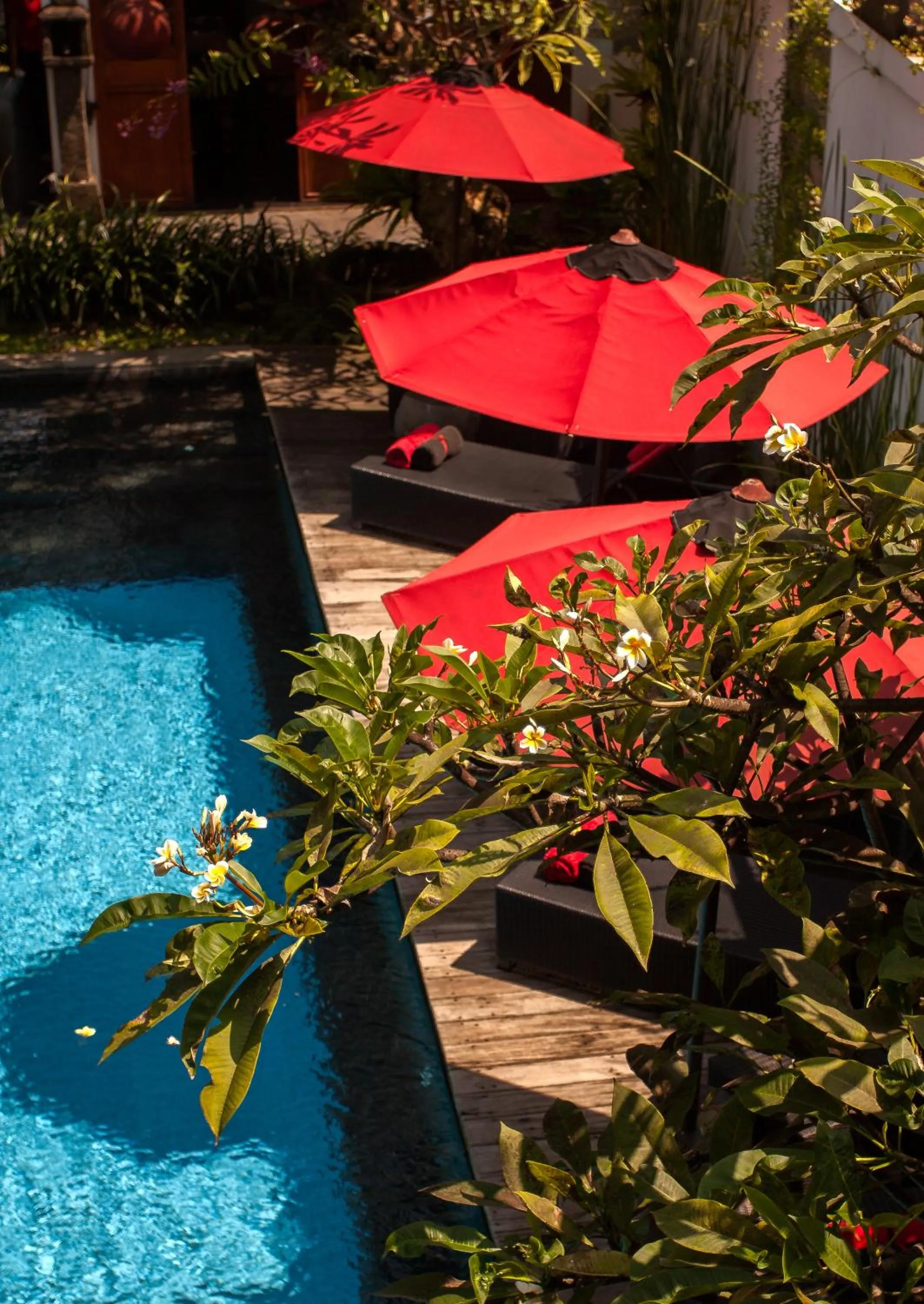 Swimming pool in Kamar Kamar Boutique Hotel