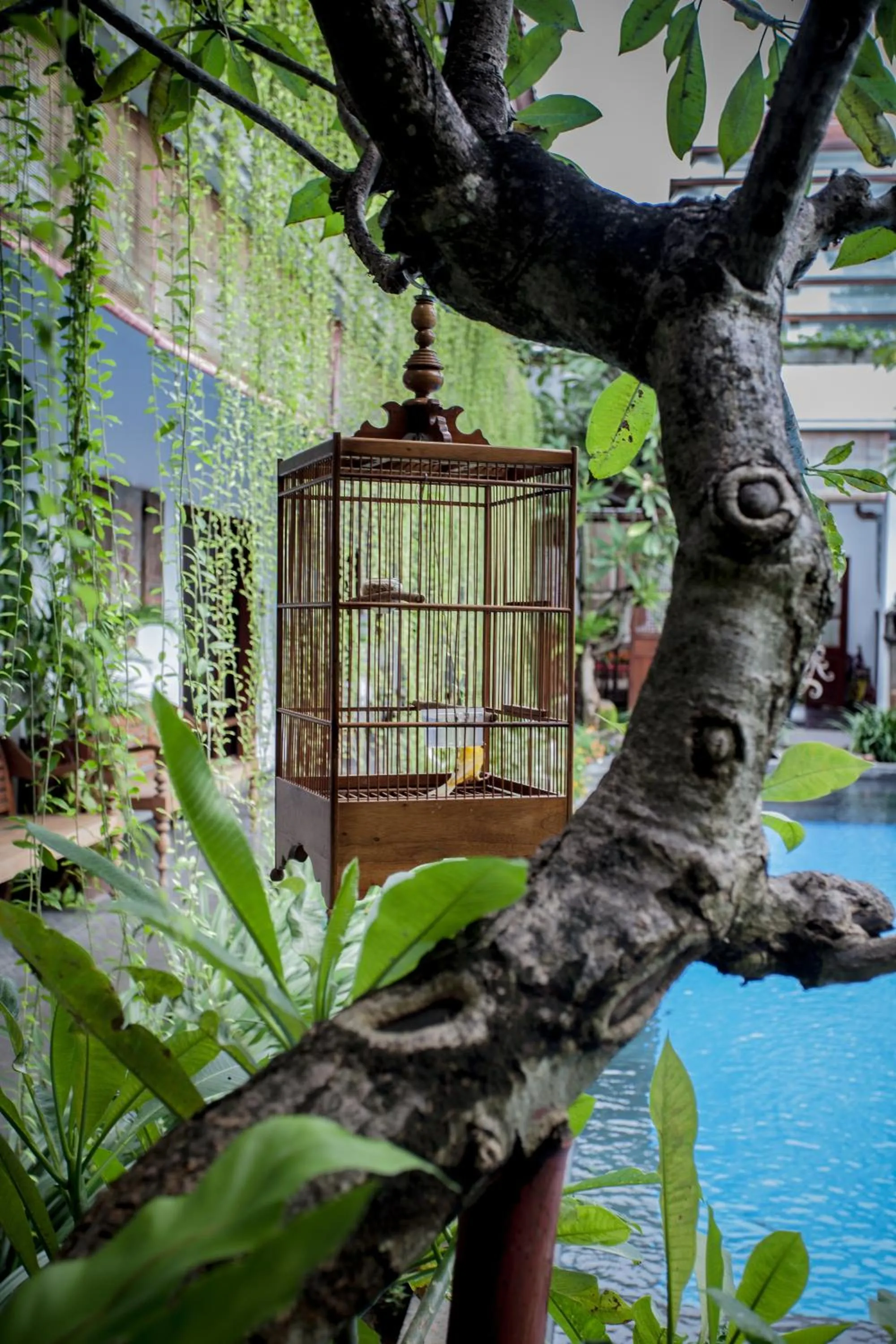 Decorative detail in Kamar Kamar Boutique Hotel