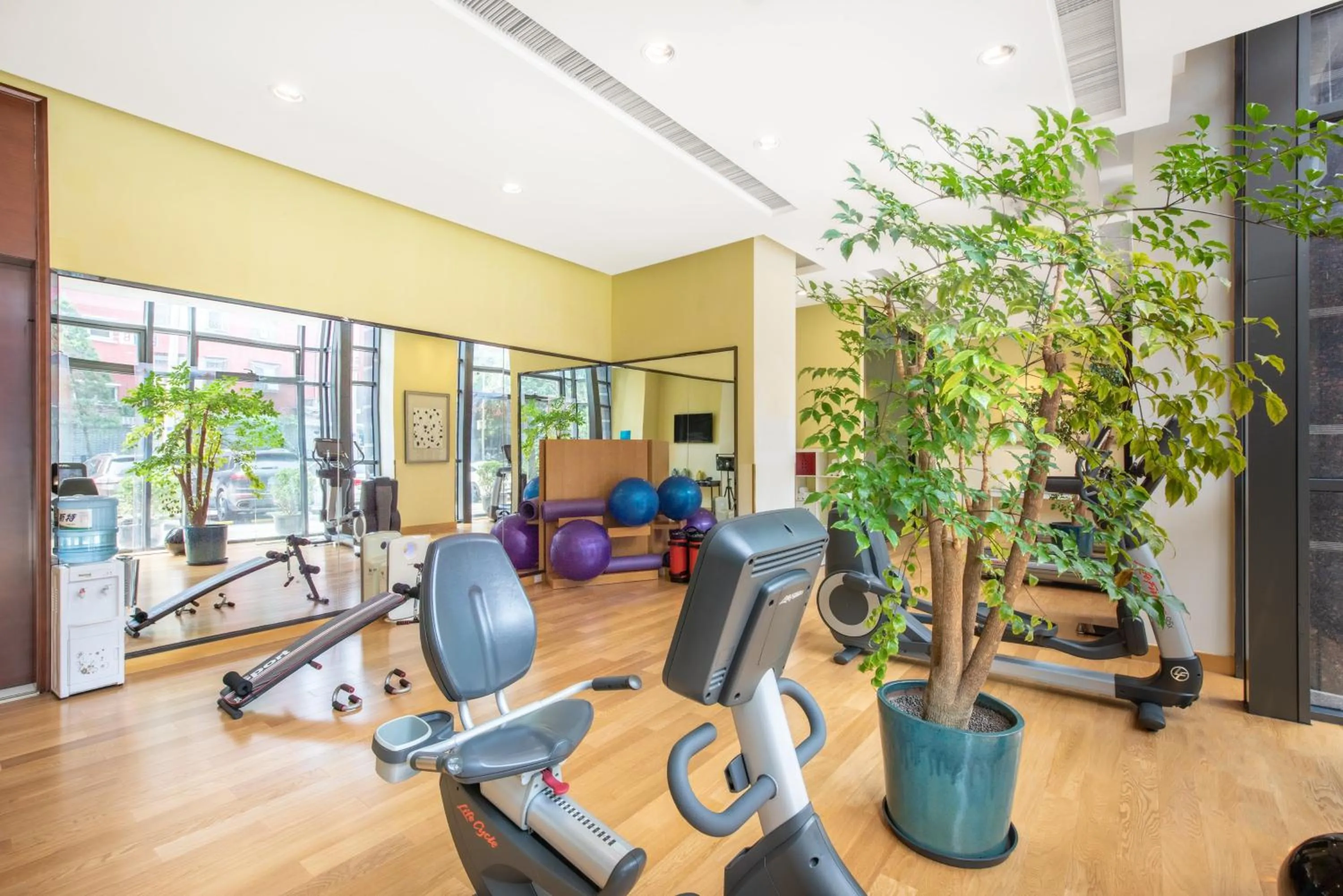 Fitness centre/facilities in Holiday Inn Express Beijing Dongzhimen by IHG