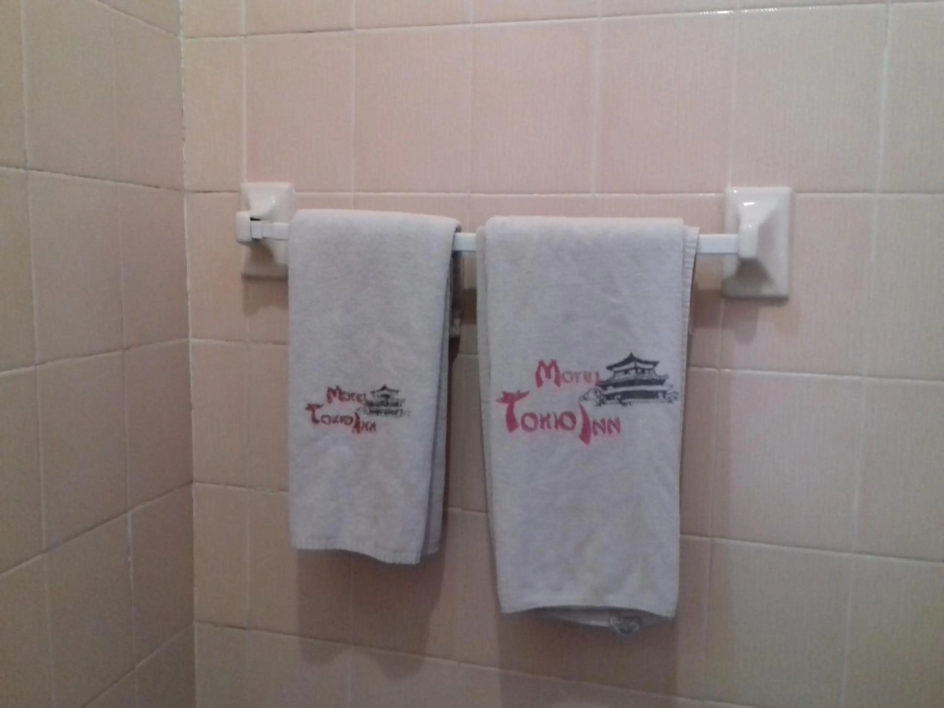 Promotora Hotelera Tocuila