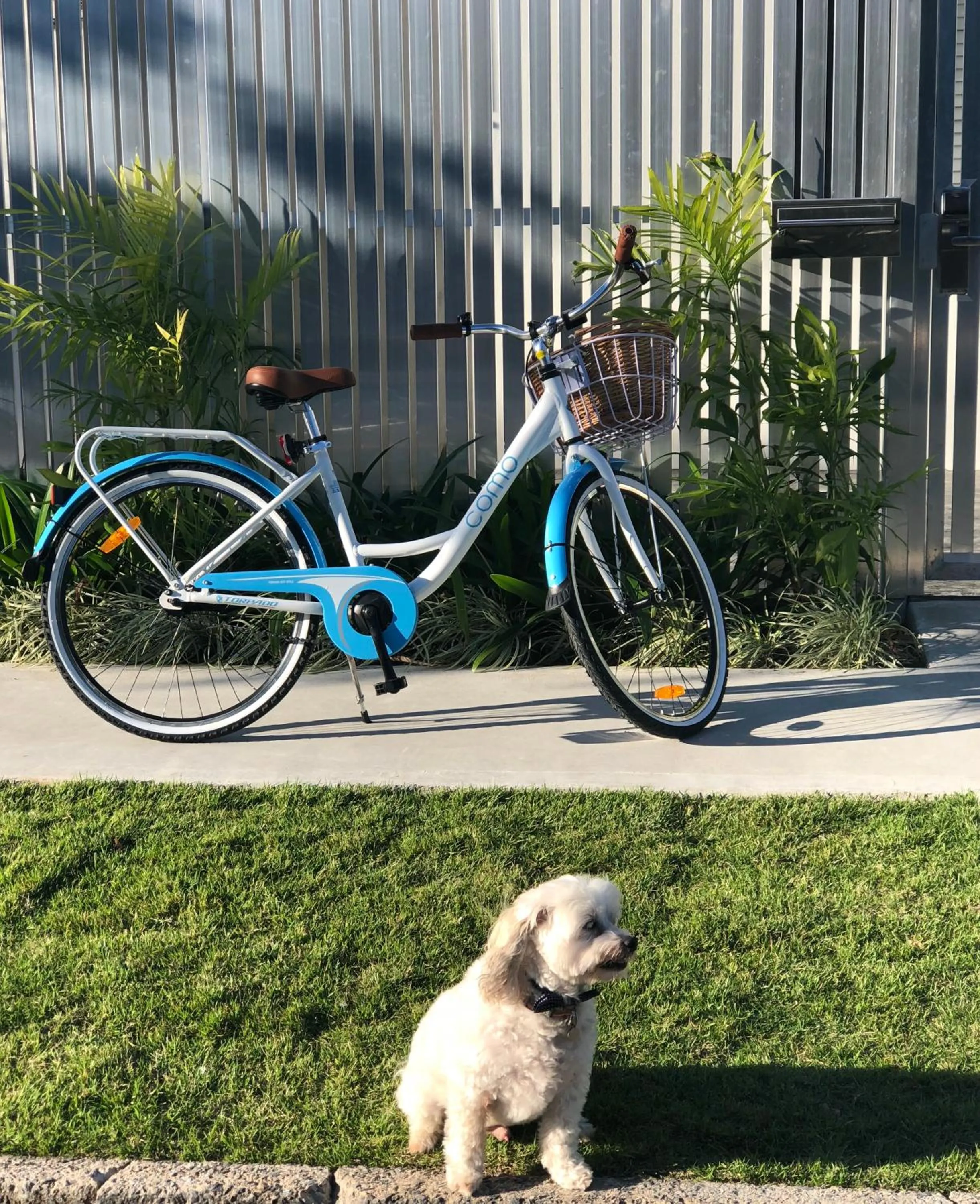 Activities in MiHaven Shared Living - Pembroke St