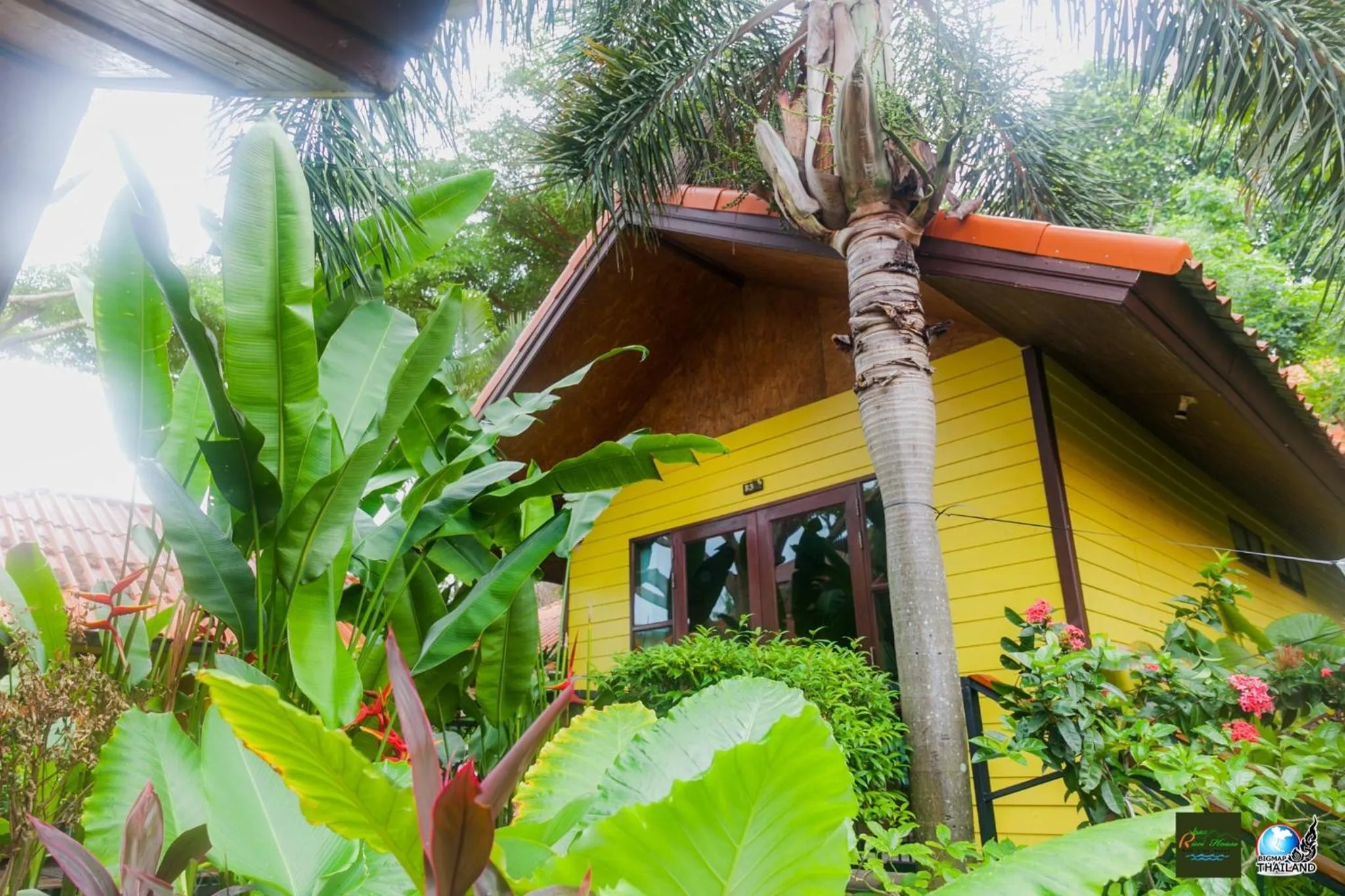 View (from property/room) in Ricci House Resort