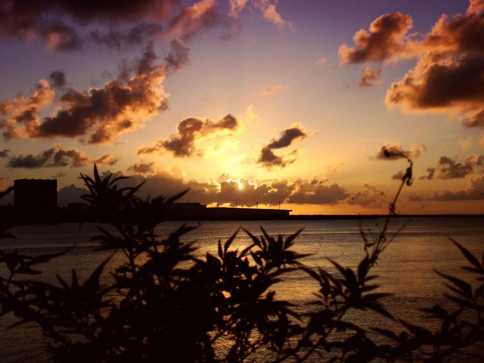 Natural landscape in Loisir Hotel Naha