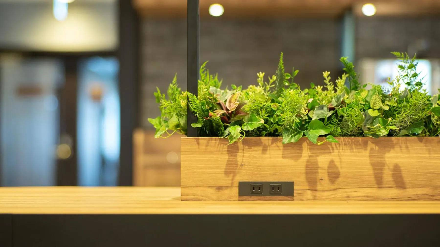 Super Hotel Minami Hikone Ekimae