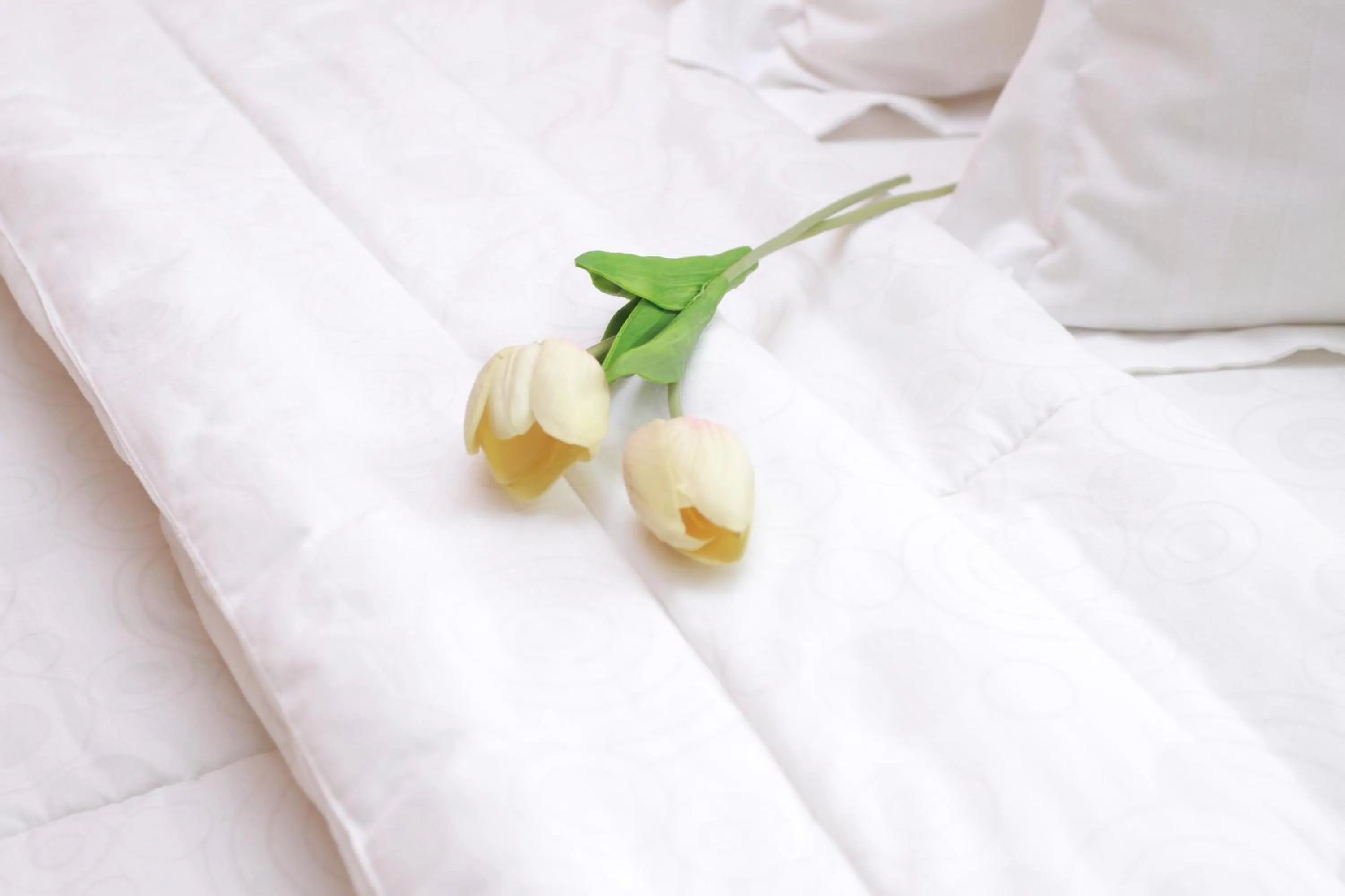 Bed in Roemah 28 Syariah