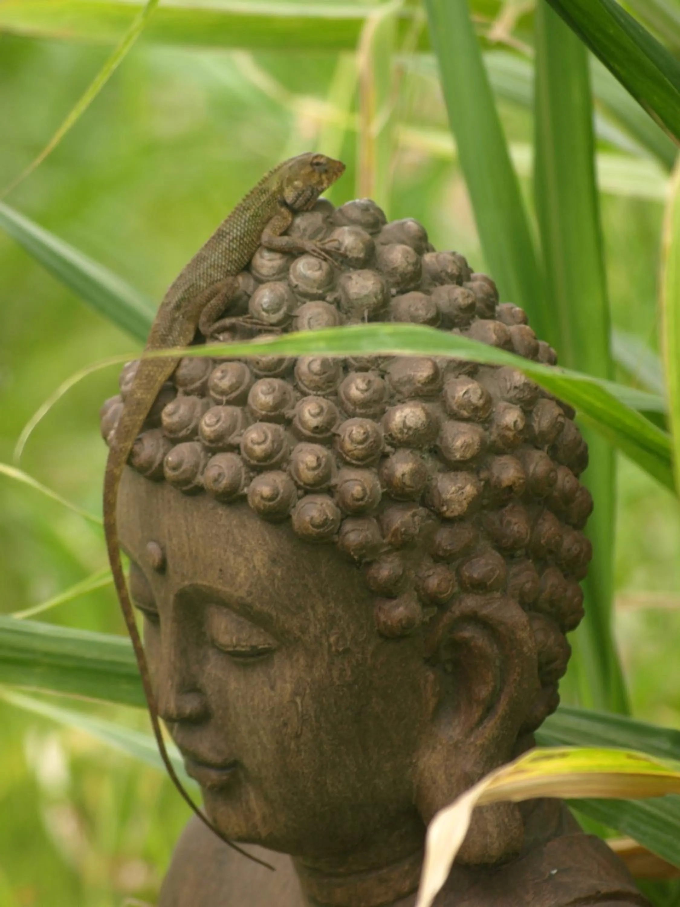 Garden in Les Coeurs d'Amants