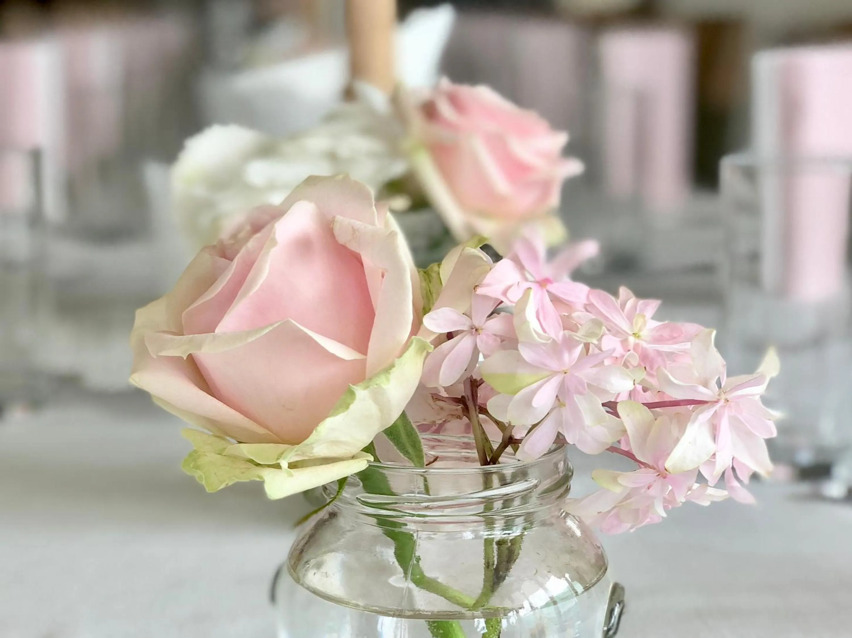 Summer in Hotel Restaurant FIDI