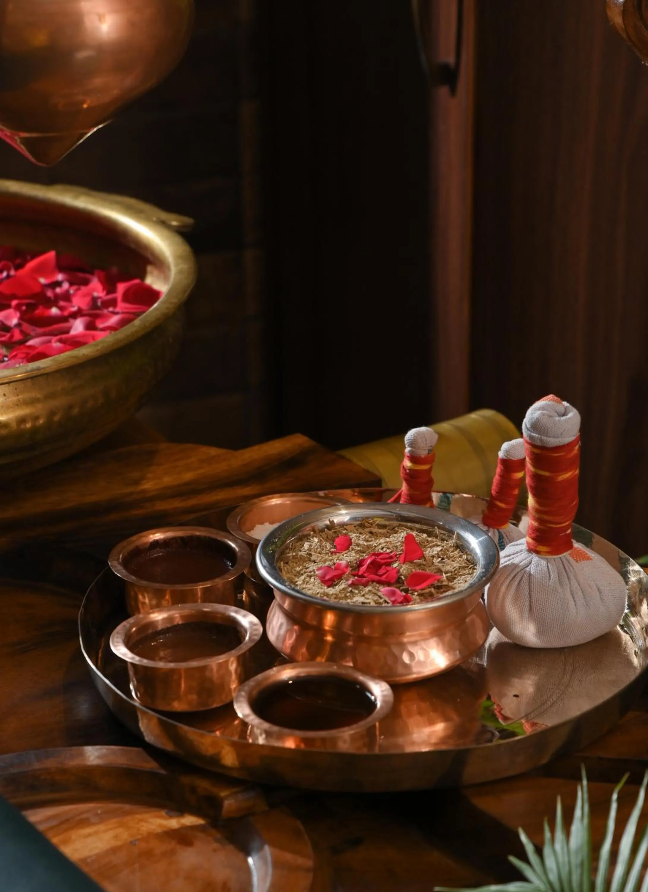 Spa and wellness centre/facilities in Soul Vacation Resort and Spa,Colva