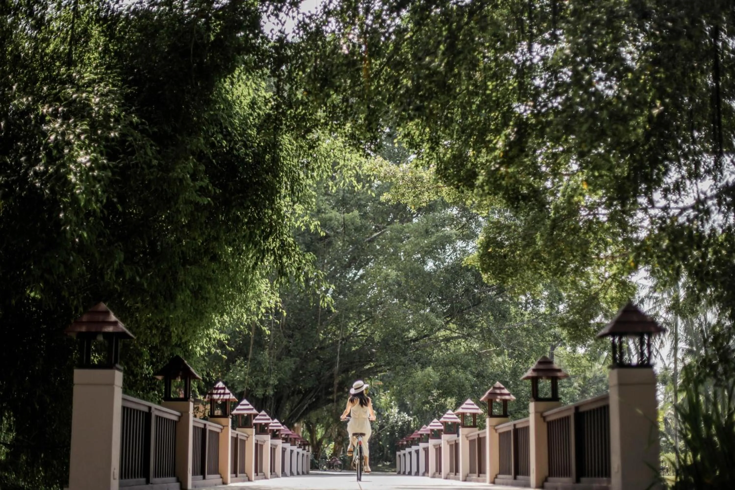 Natural landscape in Banyan Tree Phuket