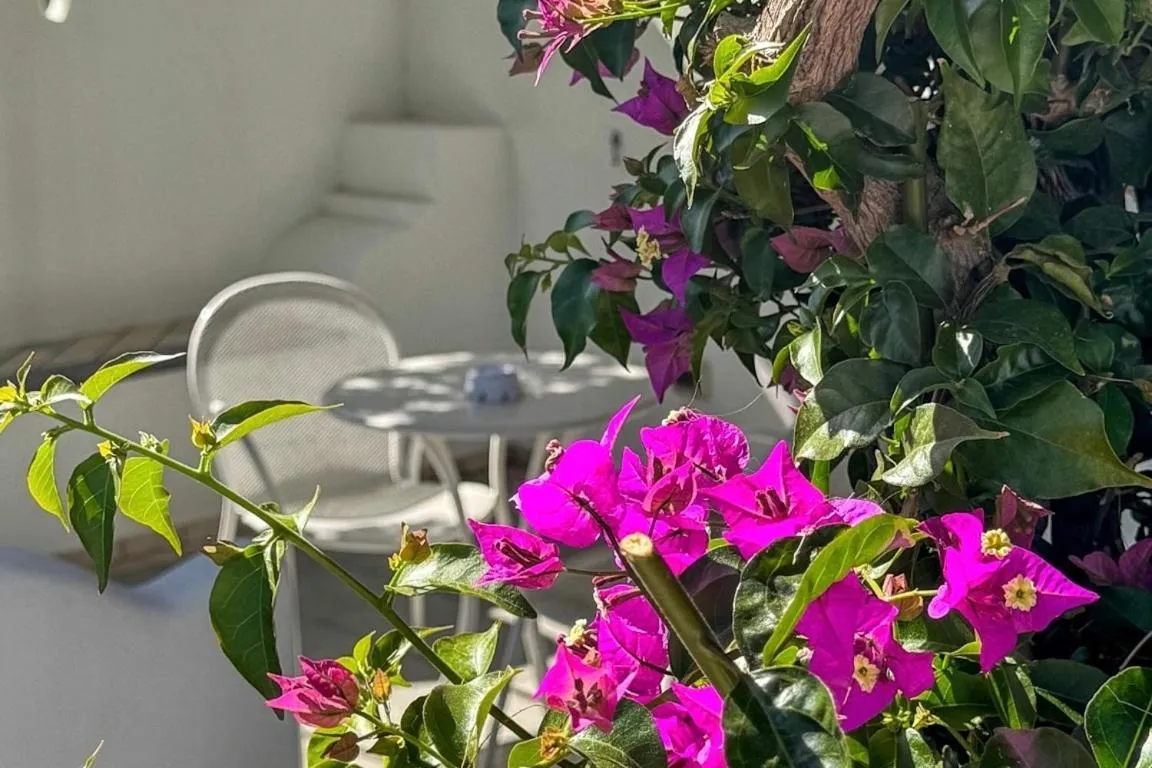 Spring in Hotel Mea - Aeolian Charme