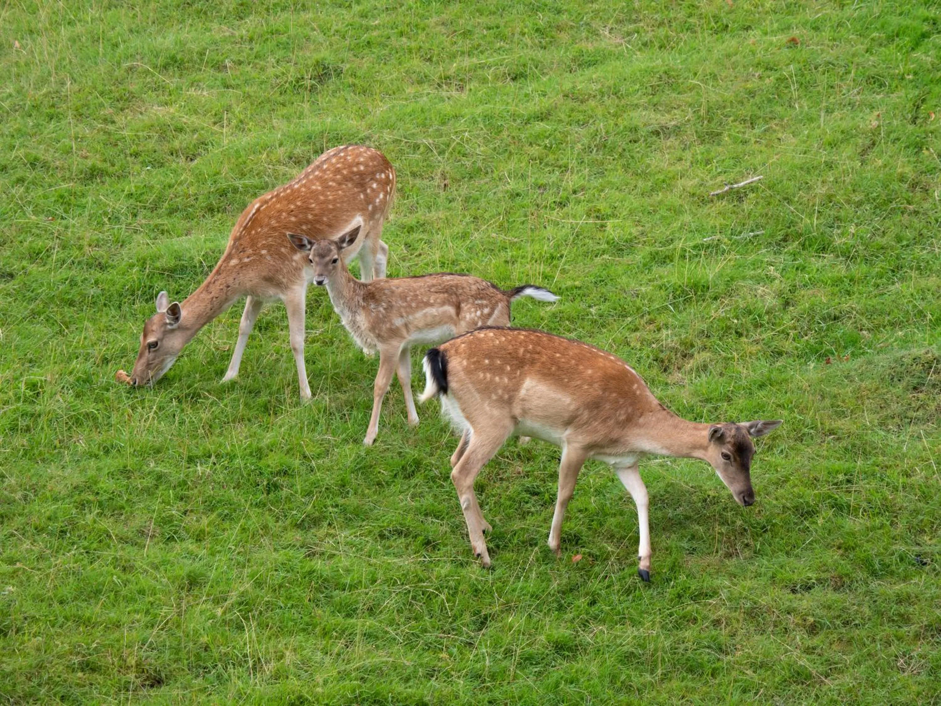 View (from property/room) in Waldhotel Felsenkeller