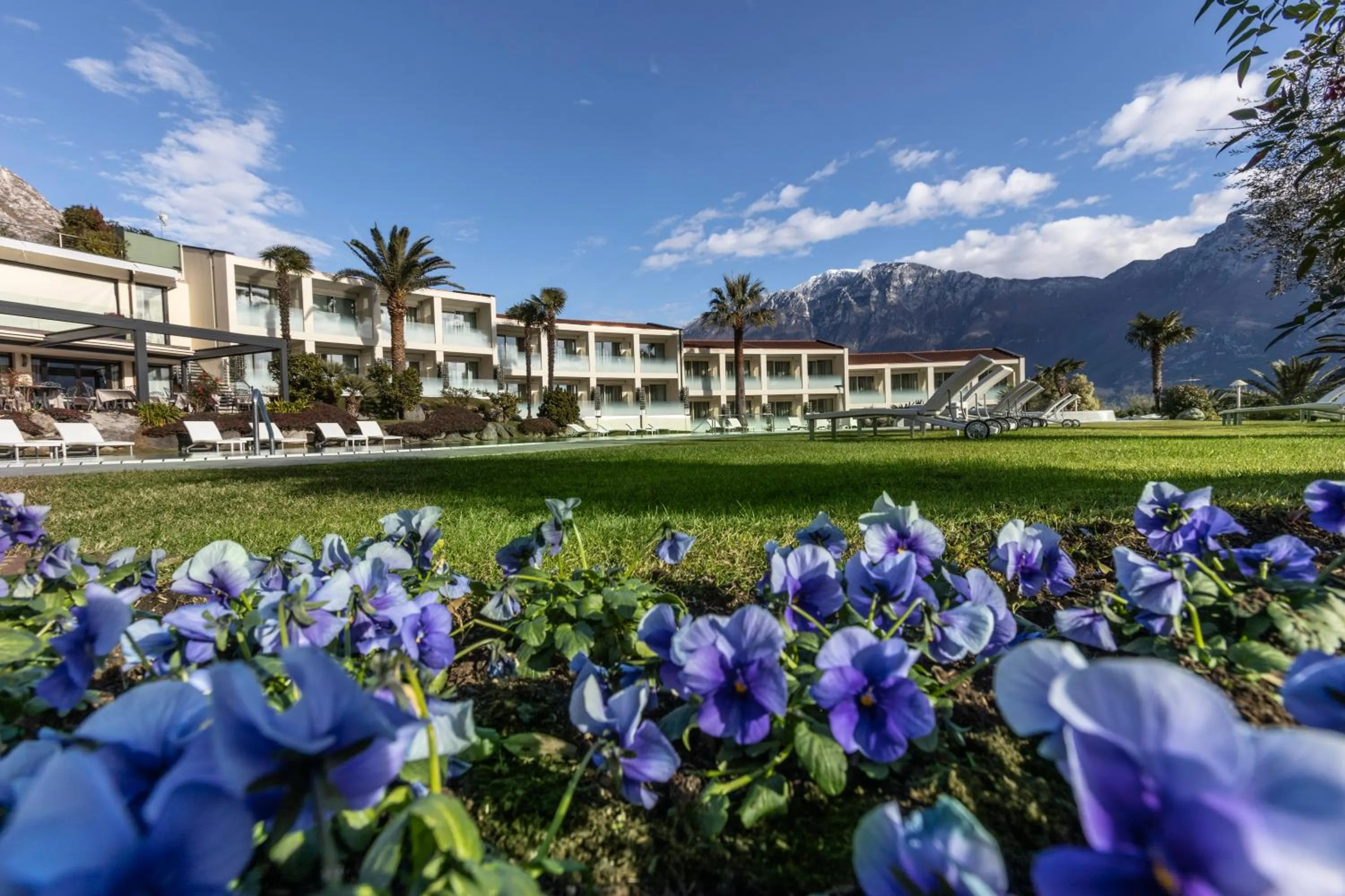 Garden view in Park Hotel Imperial