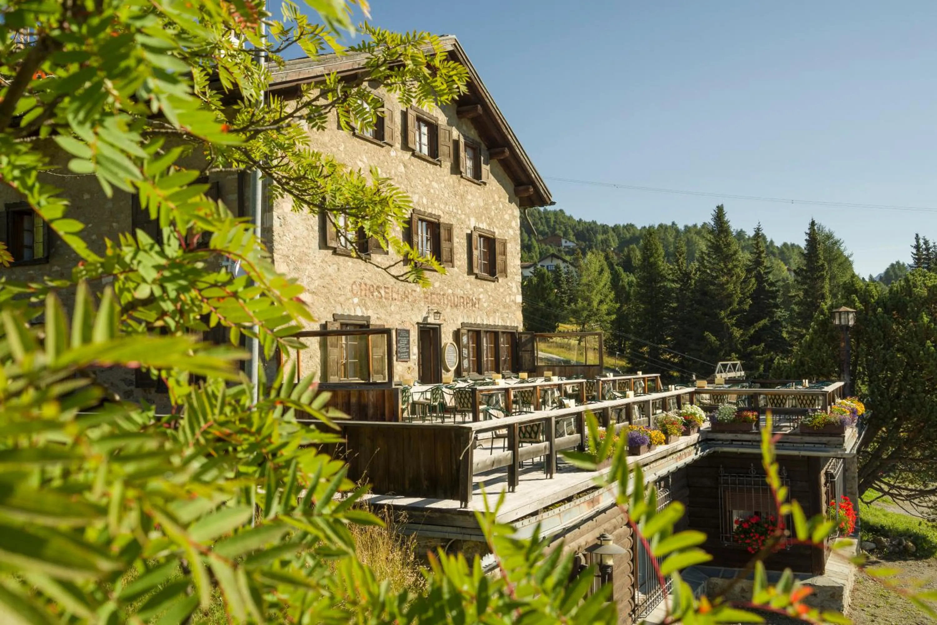 Restaurant/places to eat in Suvretta House