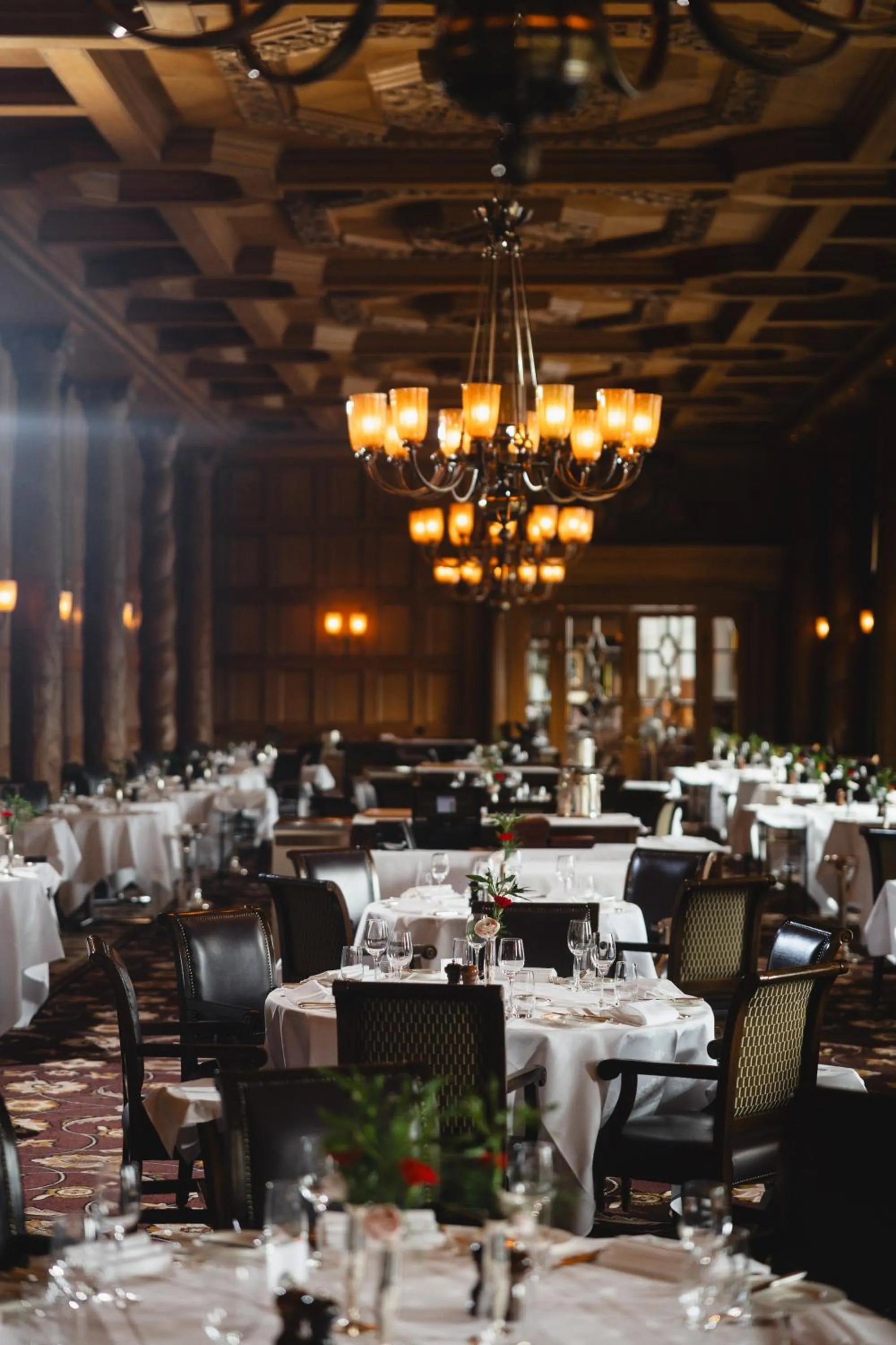 Restaurant/places to eat in Suvretta House