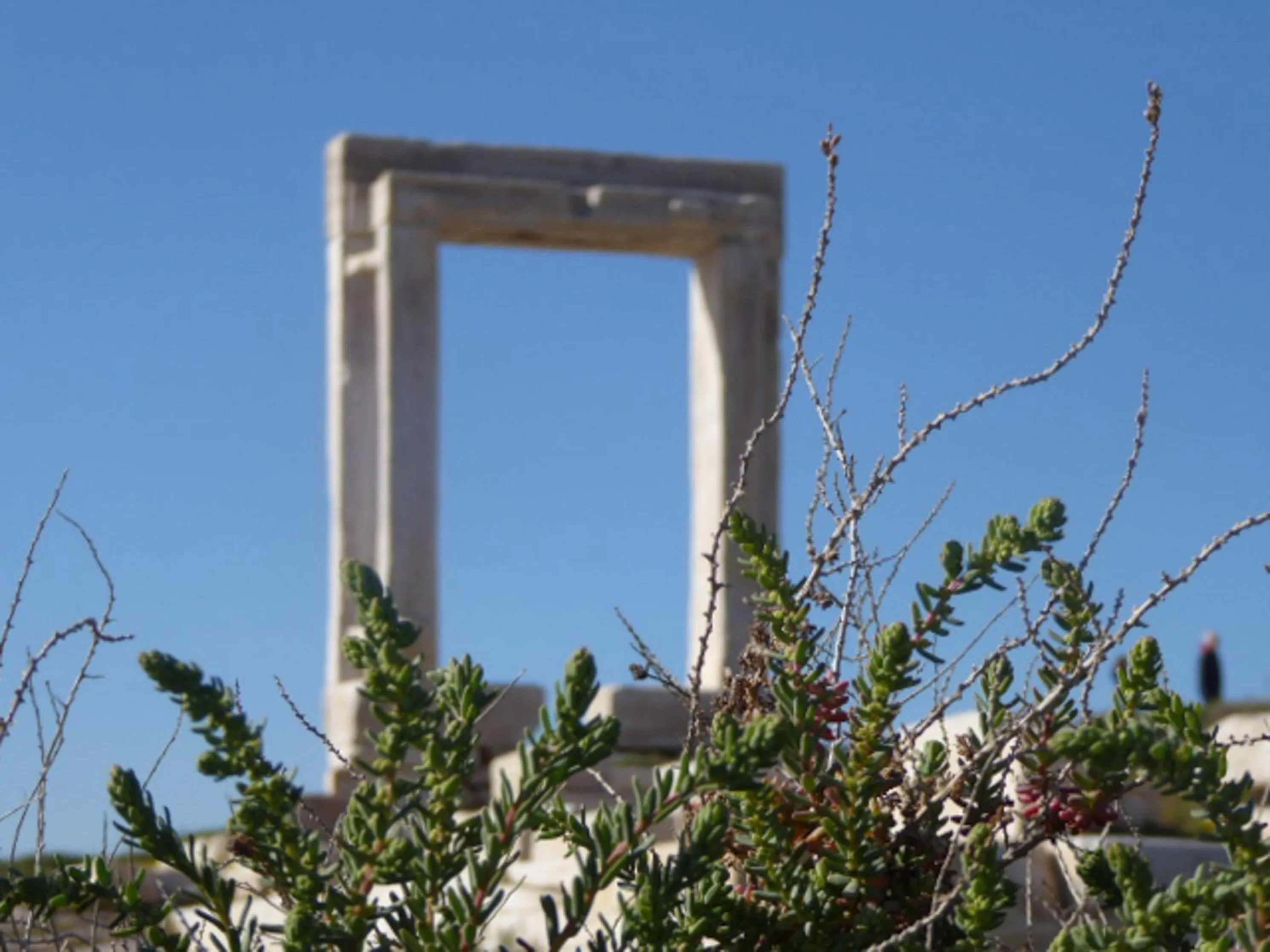 Nearby landmark in Hotel Villa Flora