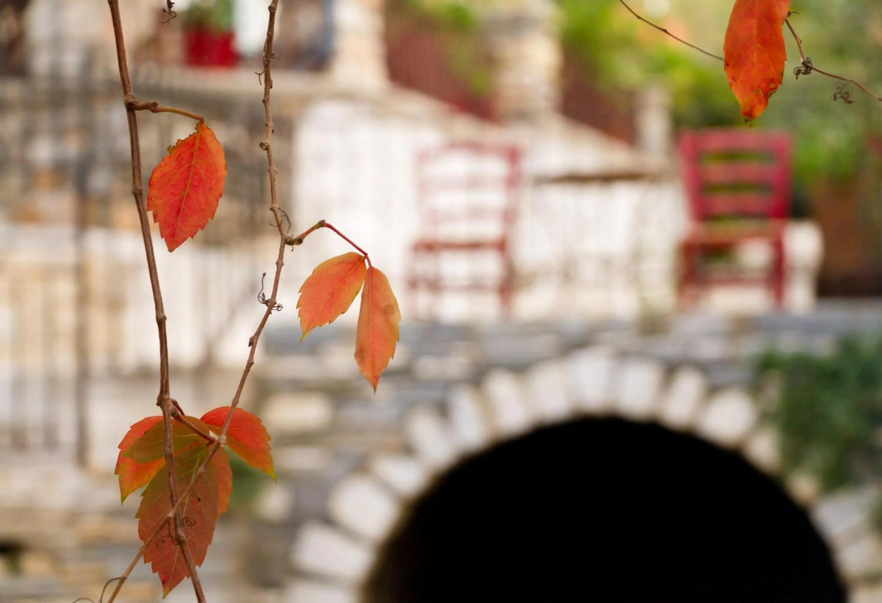 Staff in Hotel Villa Flora