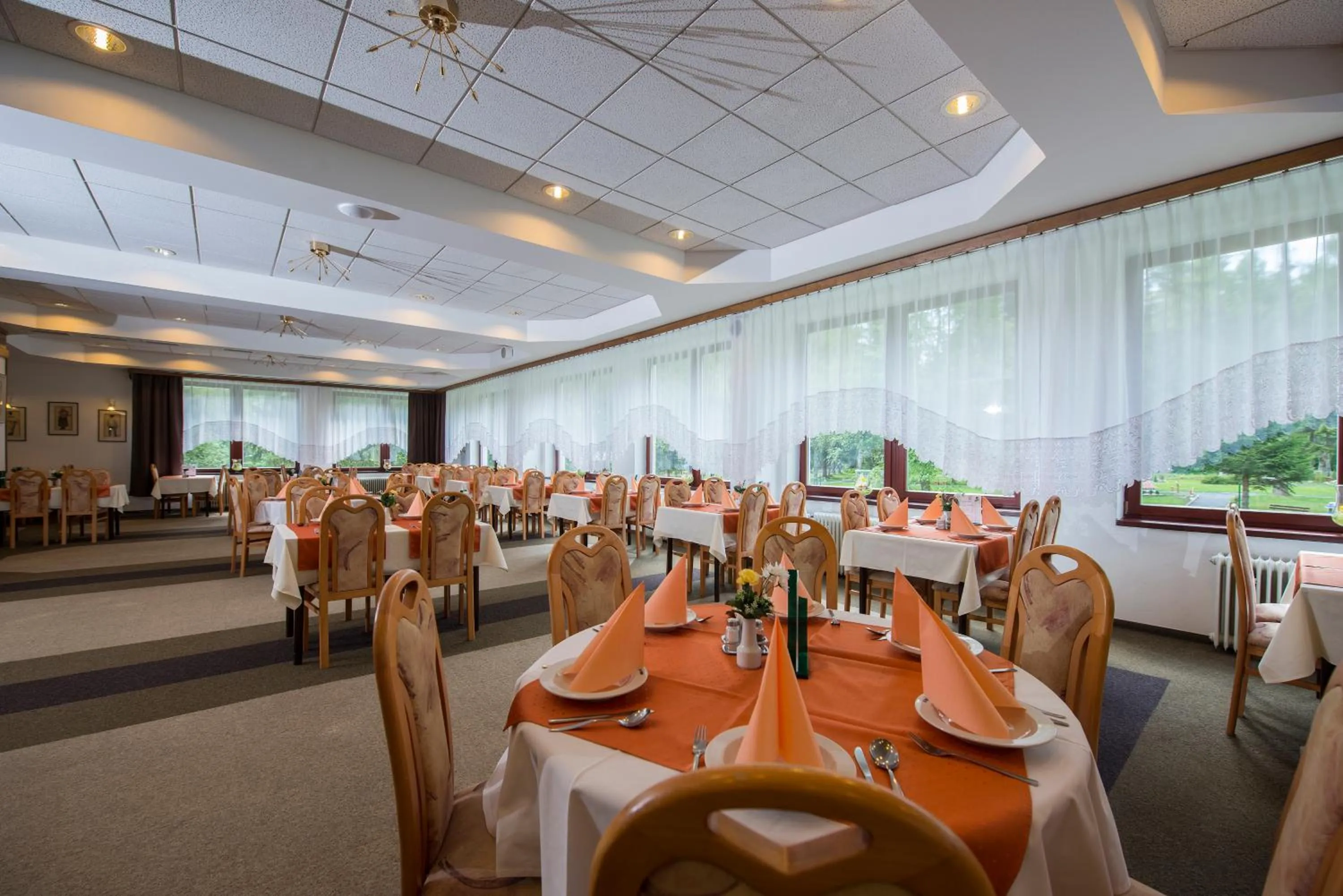 Restaurant/places to eat in Hotel SOREA ĎUMBIER