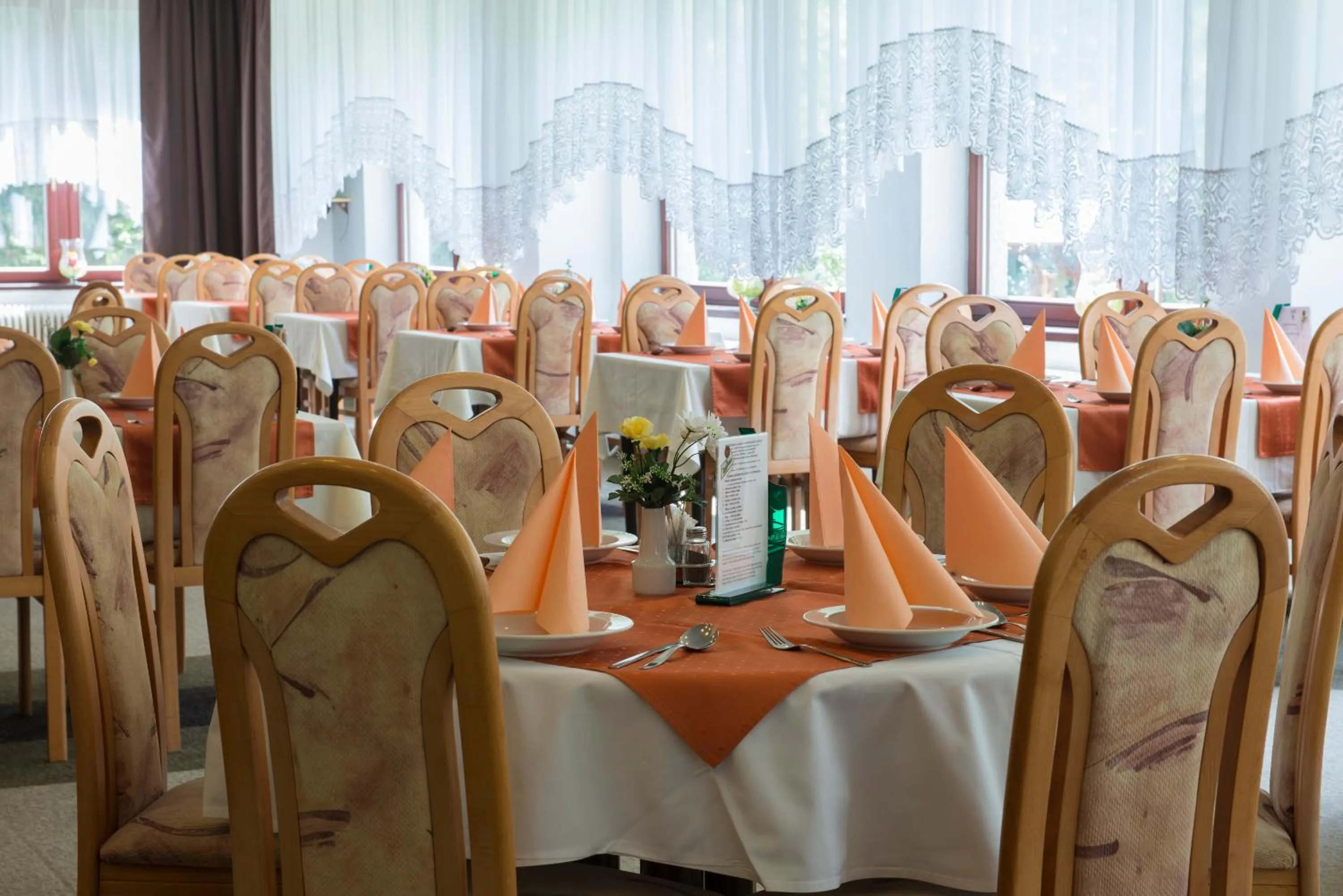 Restaurant/places to eat in Hotel SOREA ĎUMBIER