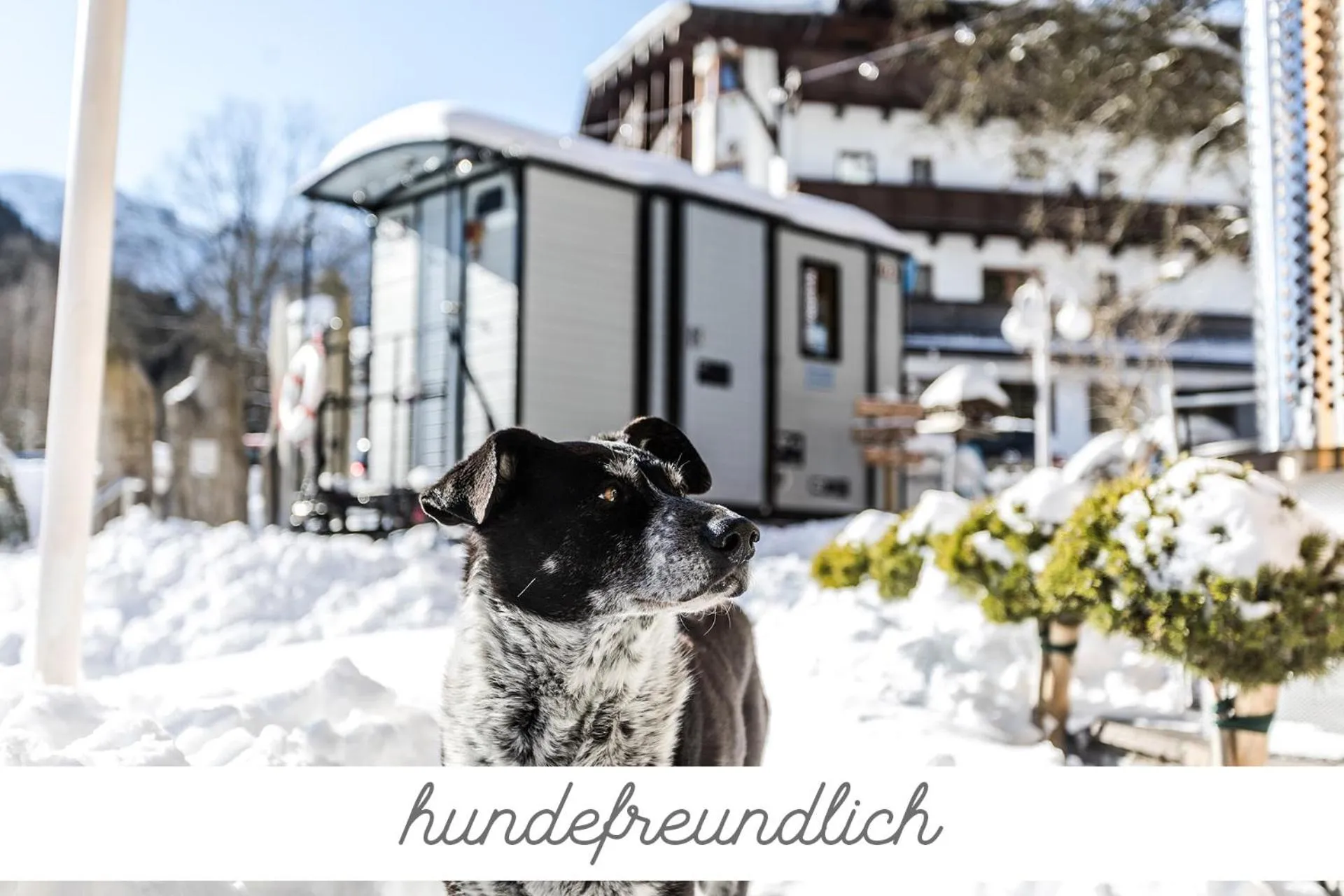 Winter in ALPENHOTEL TYROL - B&B - ADULTS ONLY - Alpines Lifestylehotel - BIO & Nachhaltig