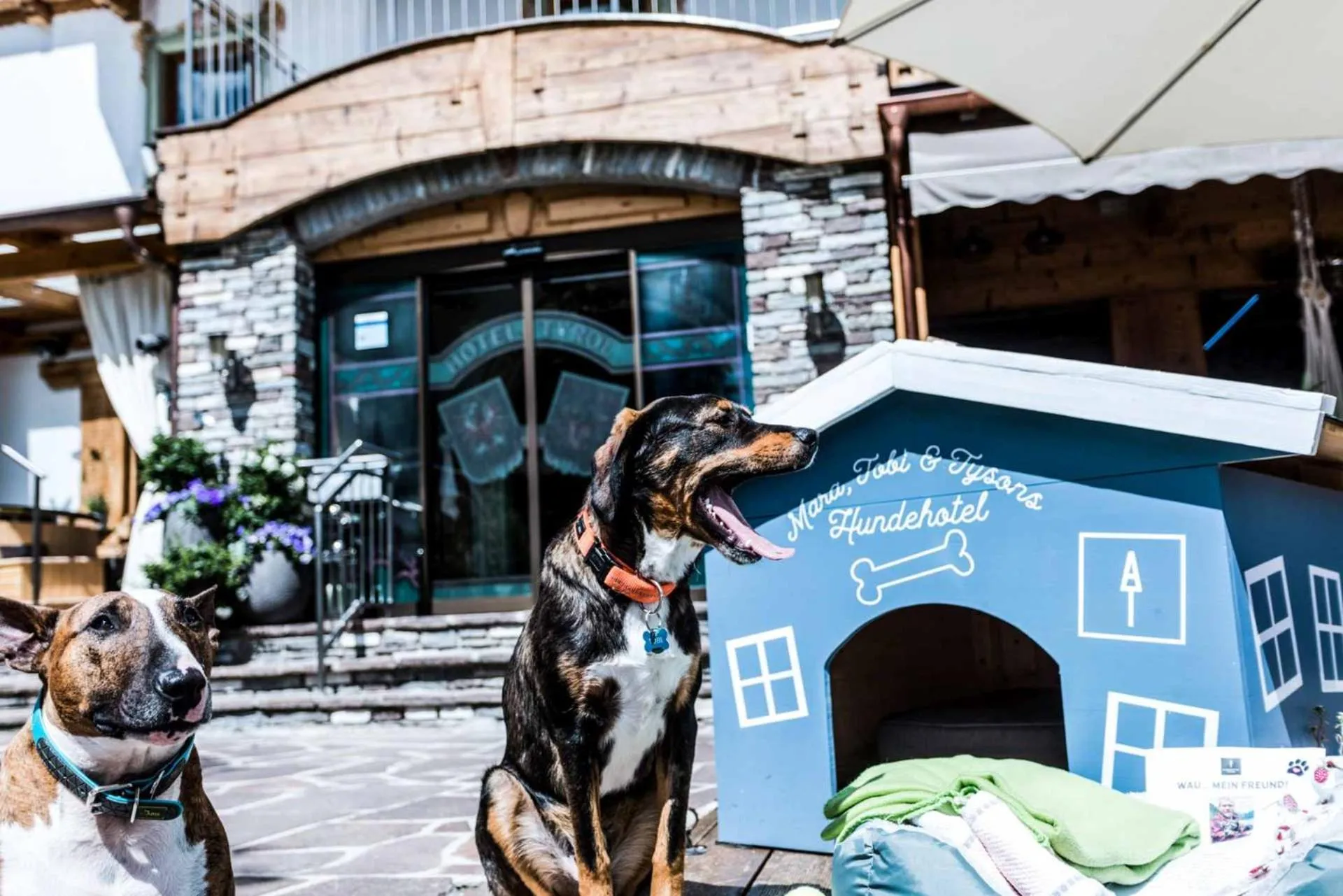 Summer in ALPENHOTEL TYROL - B&B - ADULTS ONLY - Alpines Lifestylehotel - BIO & Nachhaltig