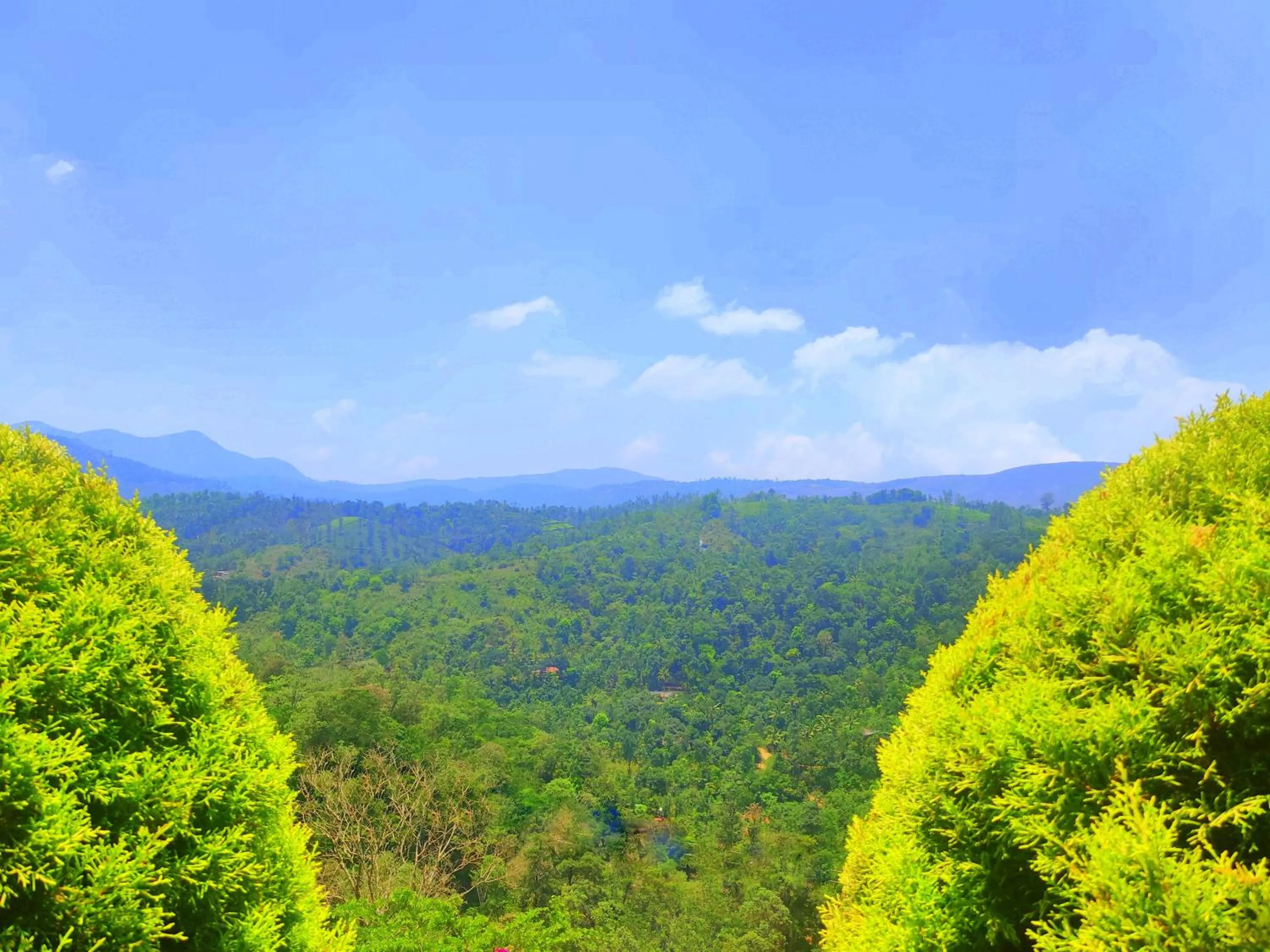 Activities in Theeram Agro Farm Hill Resort Pool Villa Vagamon