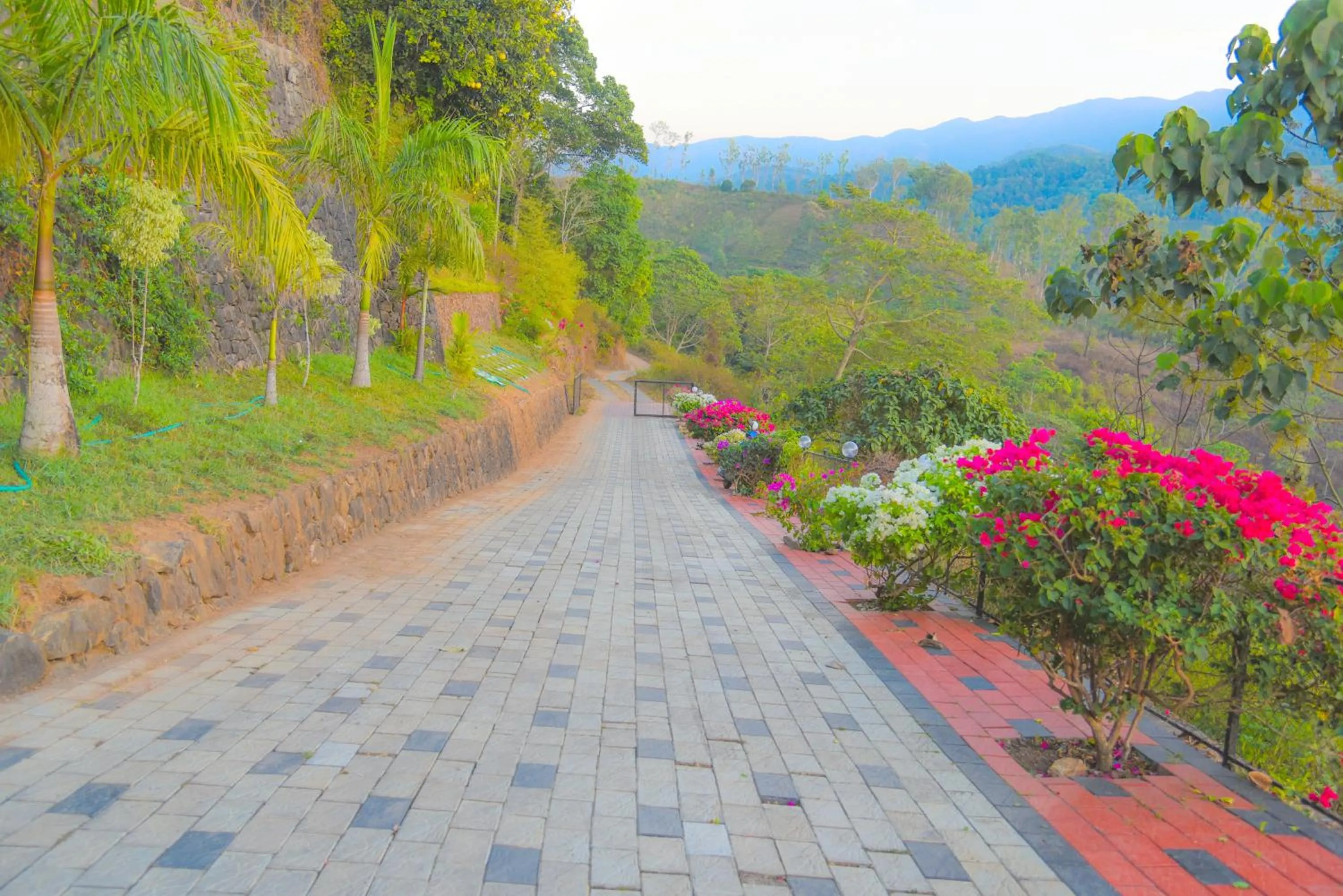 Theeram Agro Farm Hill Resort Pool Villa Vagamon