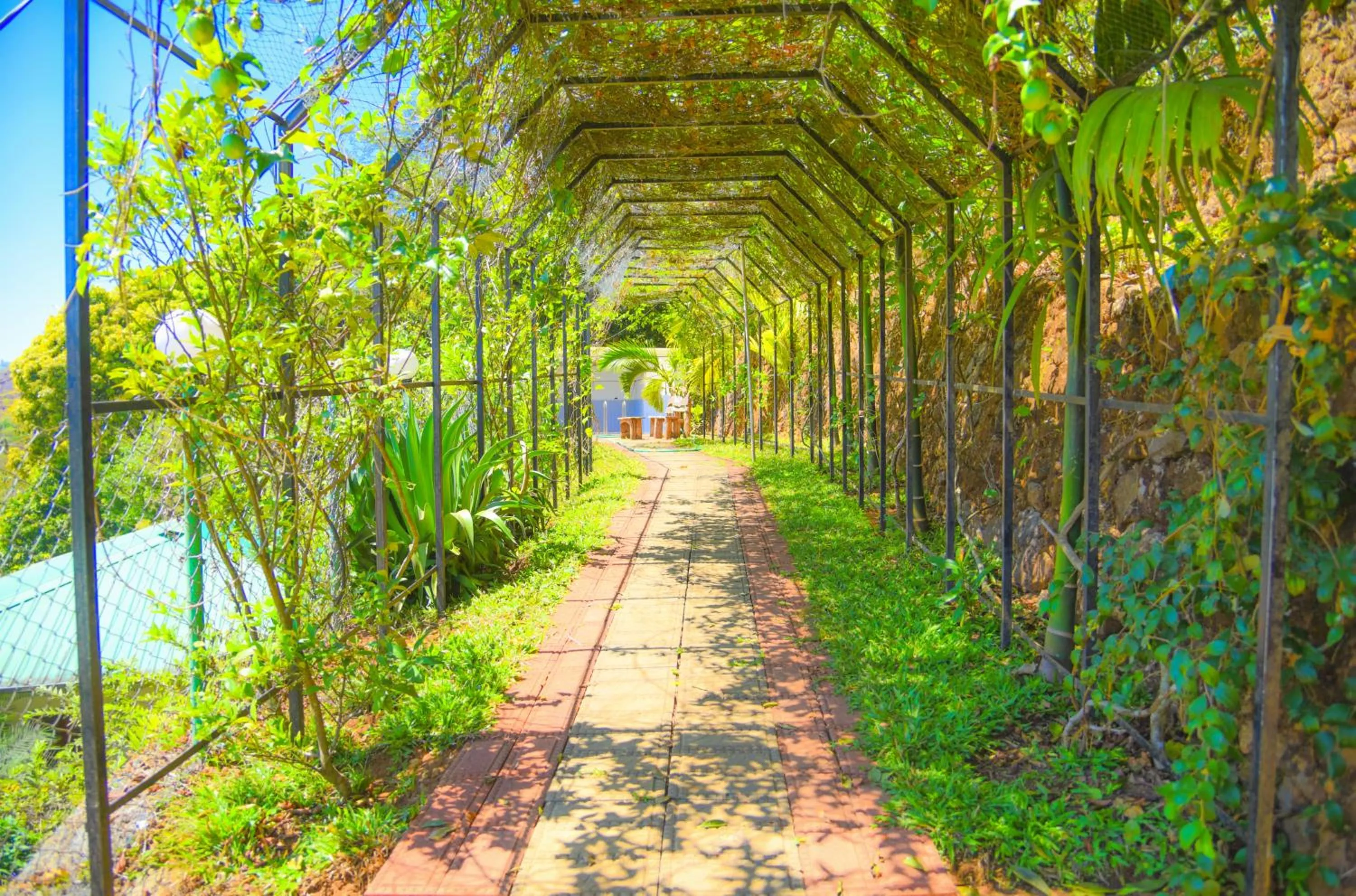 Activities in Theeram Agro Farm Hill Resort Pool Villa Vagamon