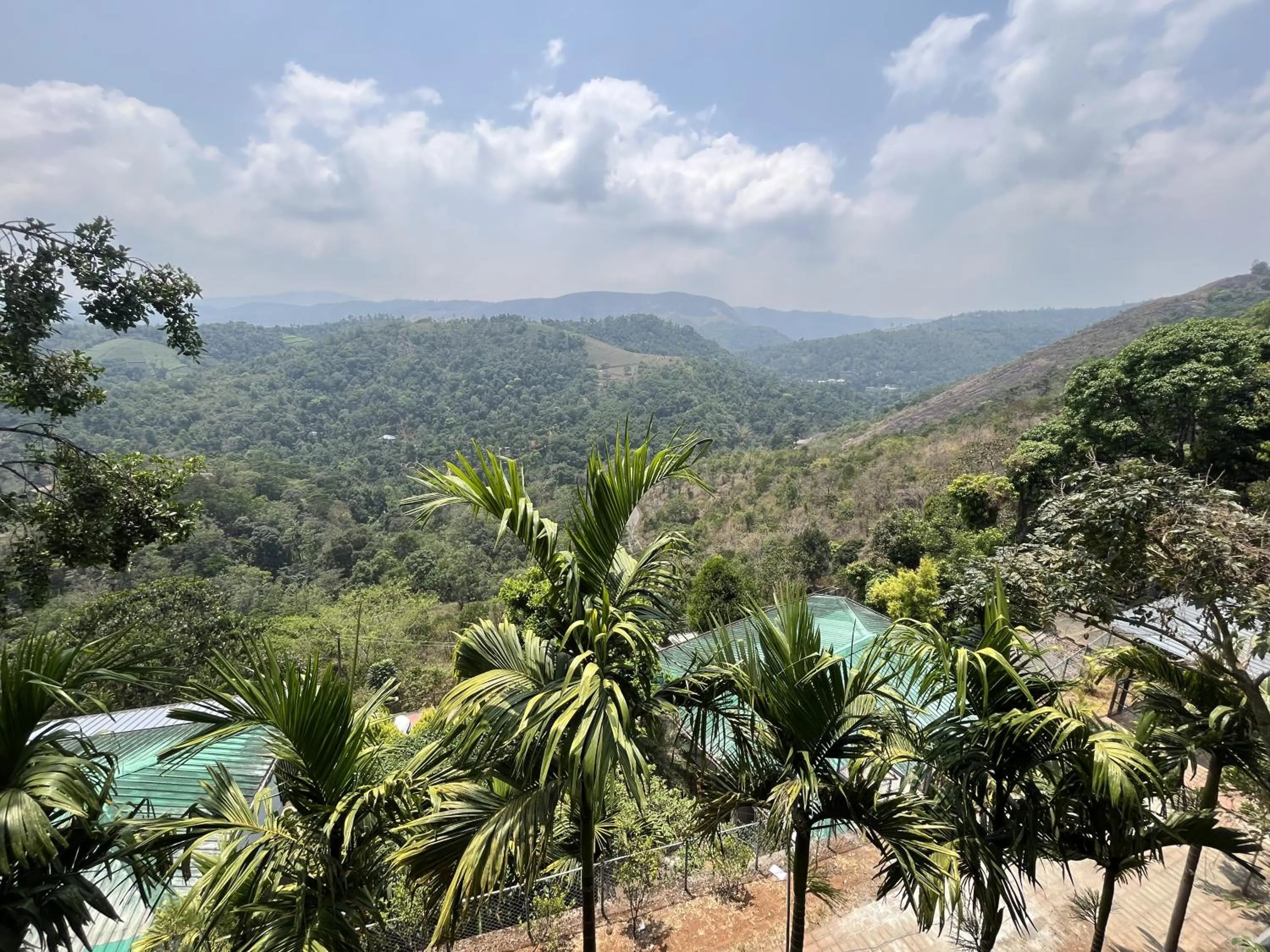 Theeram Agro Farm Hill Resort Pool Villa Vagamon