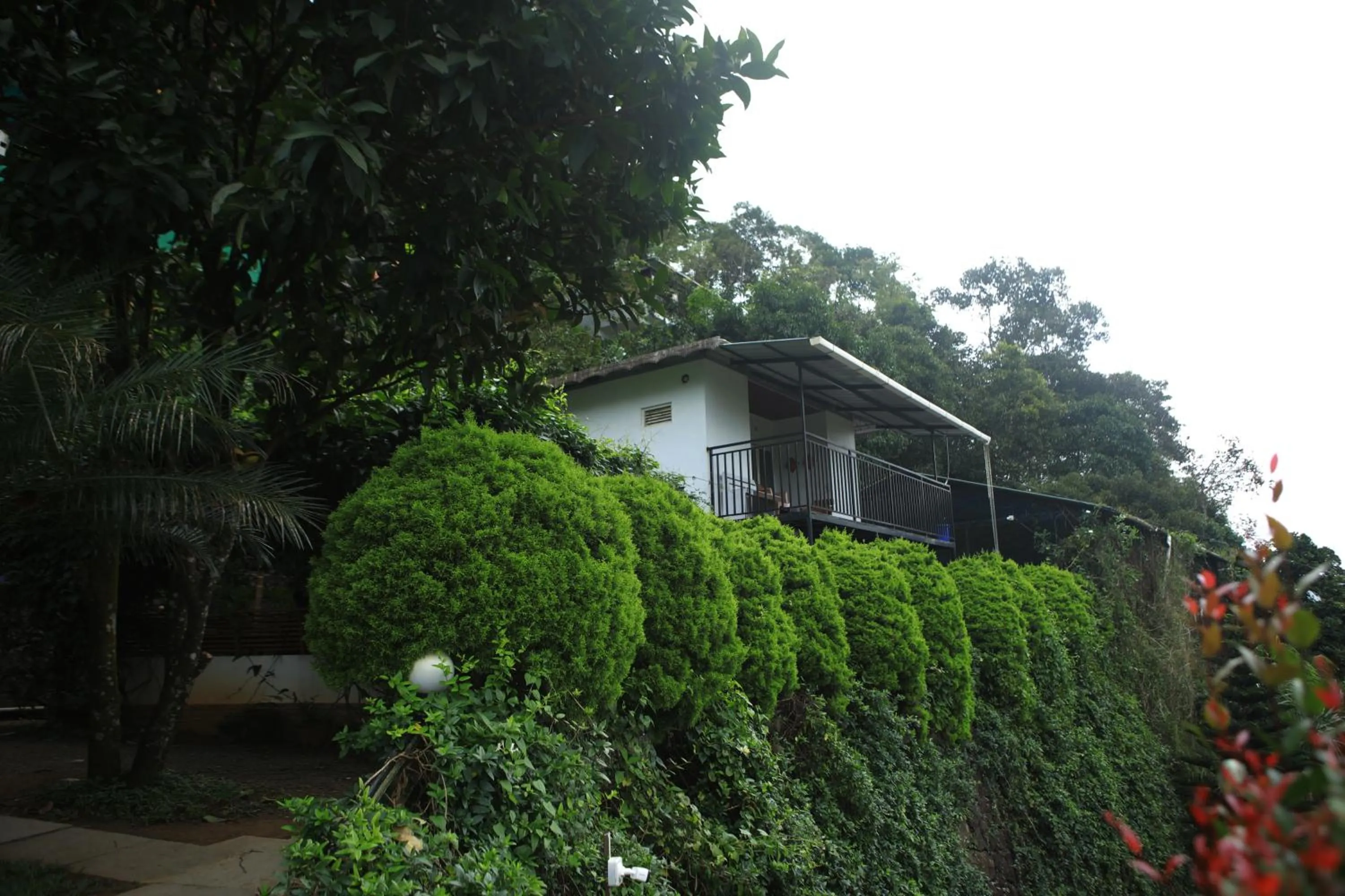 Theeram Agro Farm Hill Resort Pool Villa Vagamon
