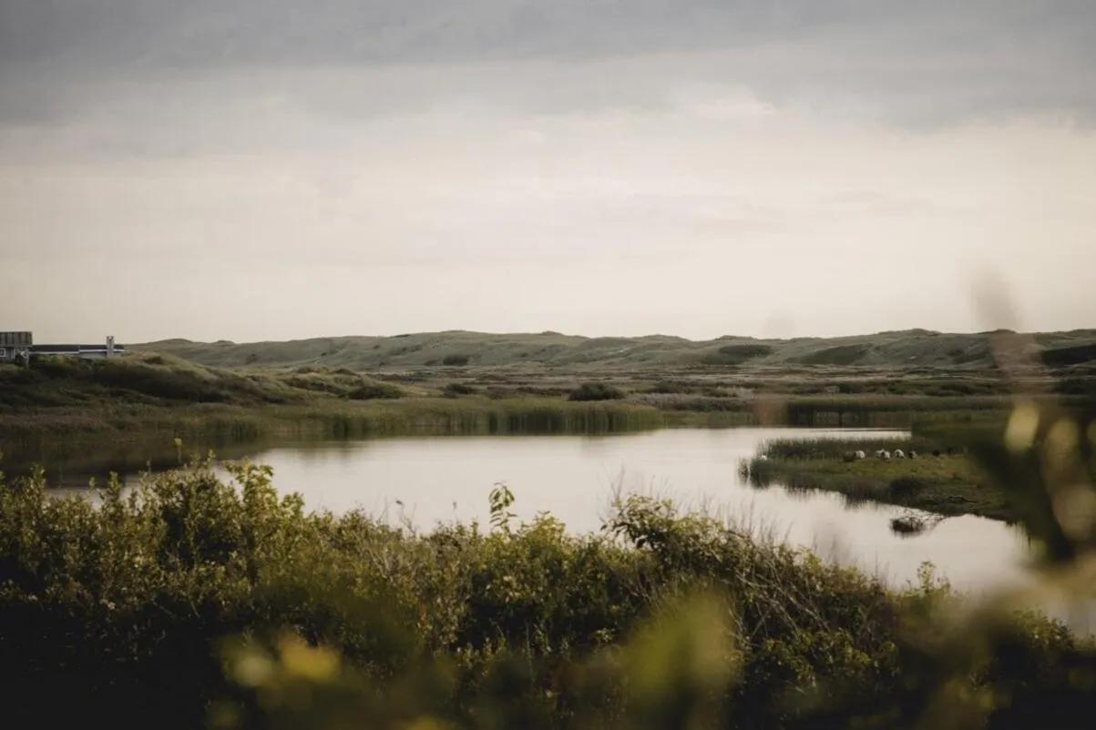 Off site in Nymindegab Kro