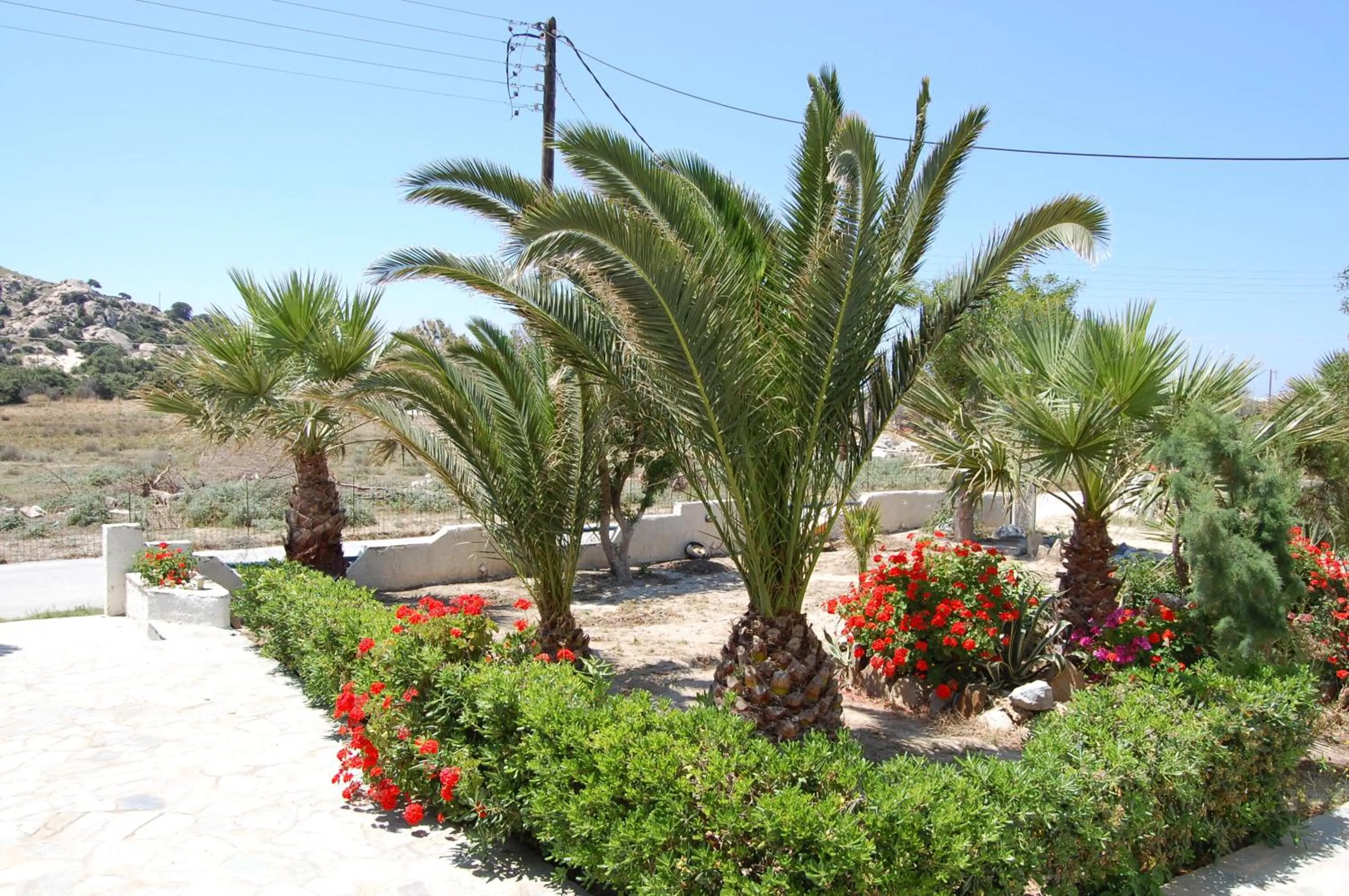 Garden in Coralli Beach Apartments