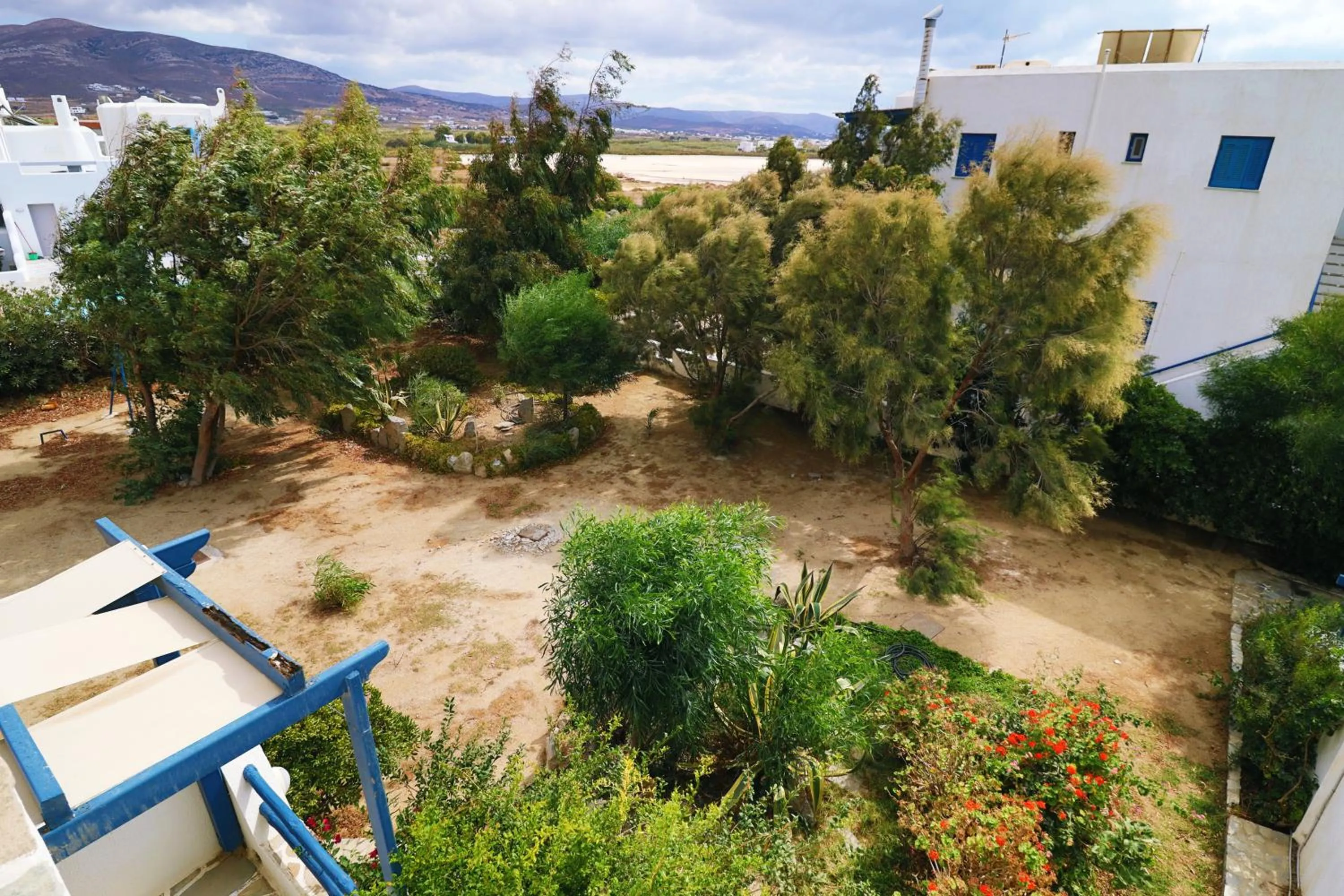 Garden view in Coralli Beach Apartments
