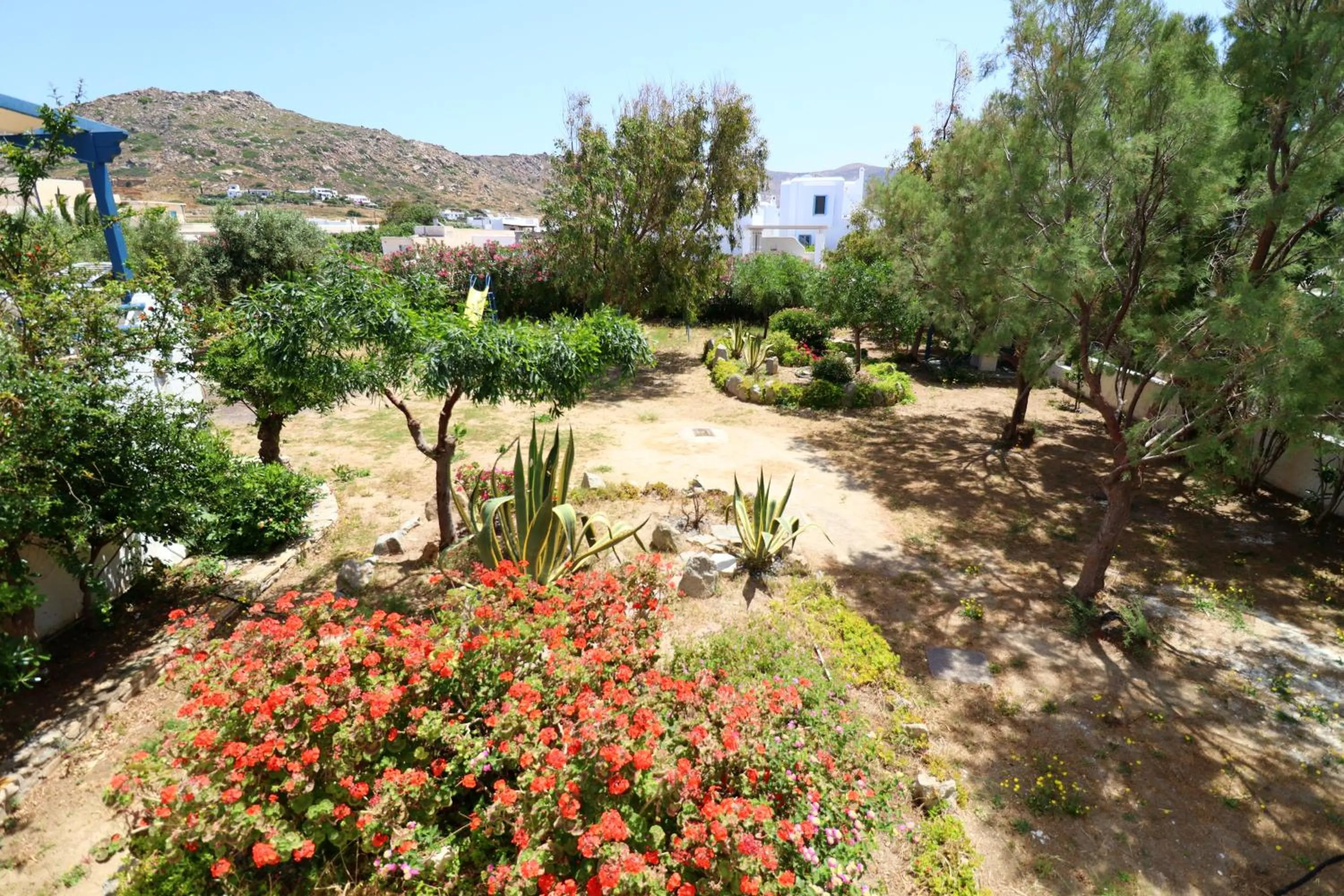 Garden view in Coralli Beach Apartments